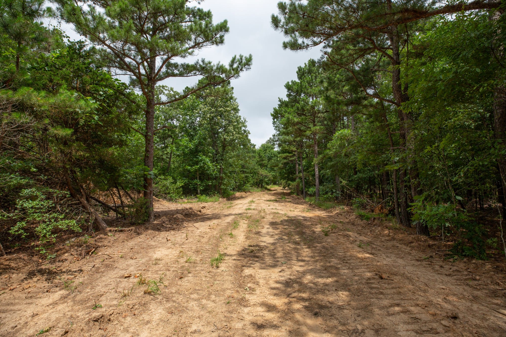 Eagle’s Nest Tract 76 photo 11
