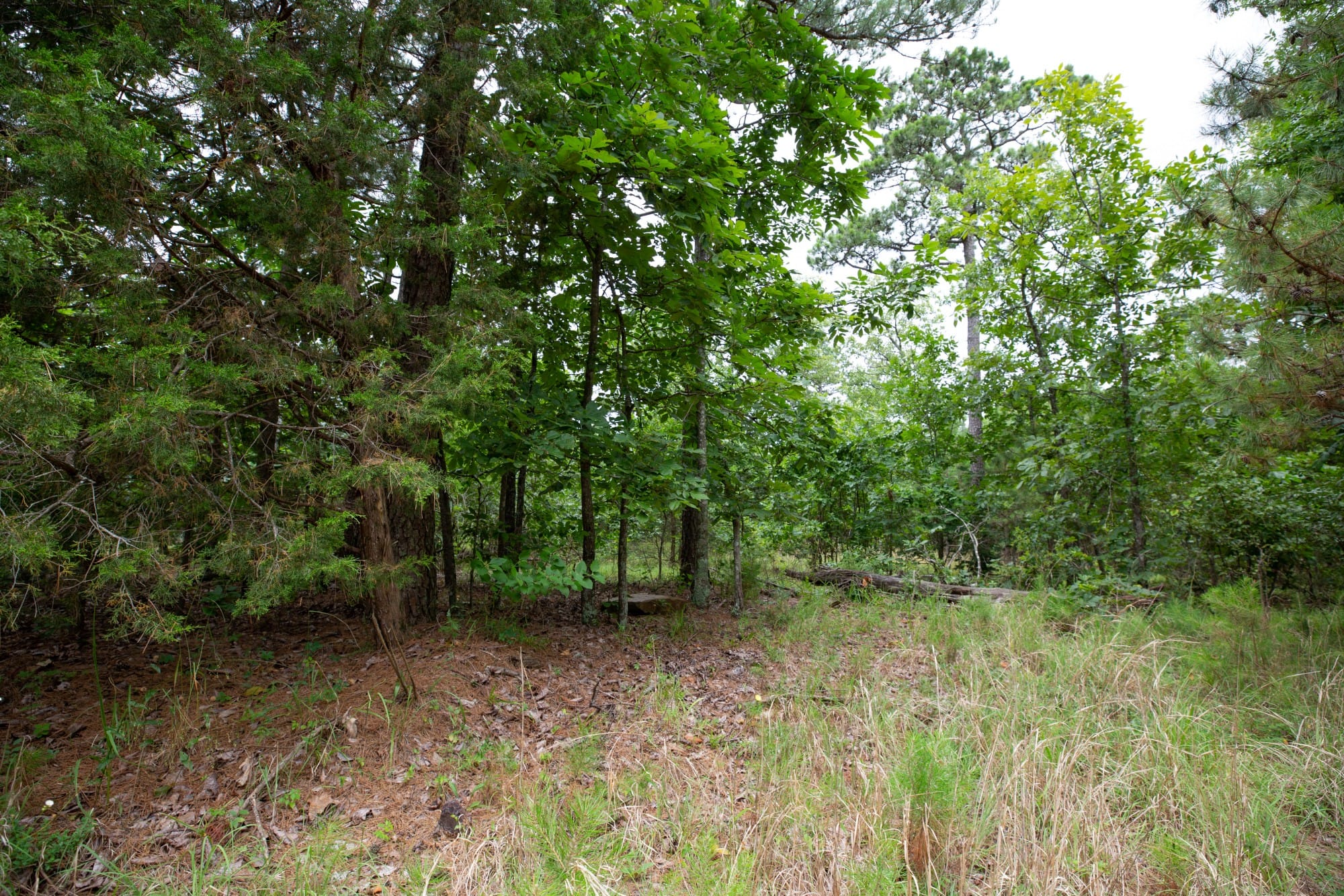 Eagle’s Nest Tract 76 photo 14