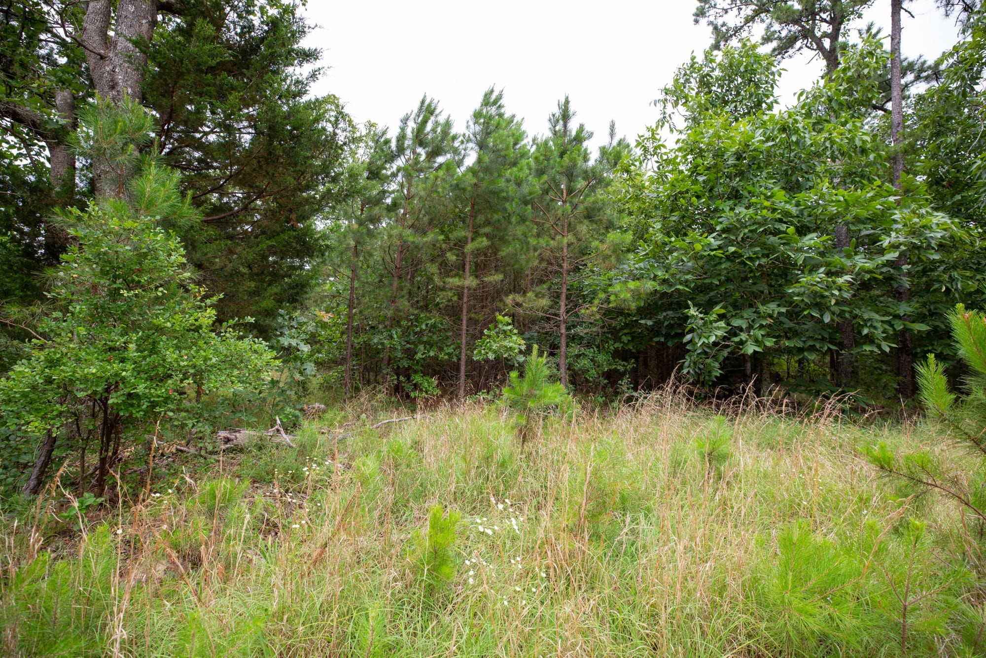 Eagle’s Nest Tract 76 photo 15