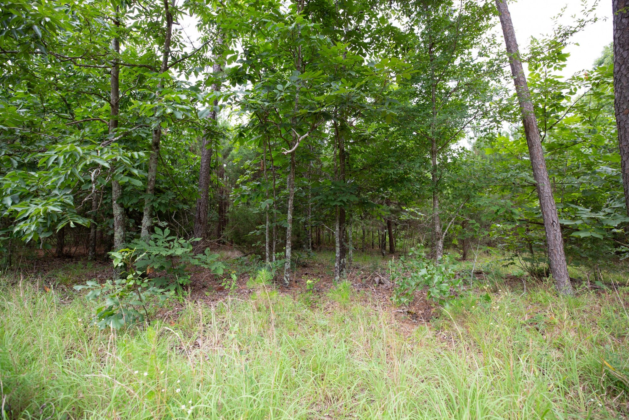 Eagle’s Nest Tract 76 photo 17