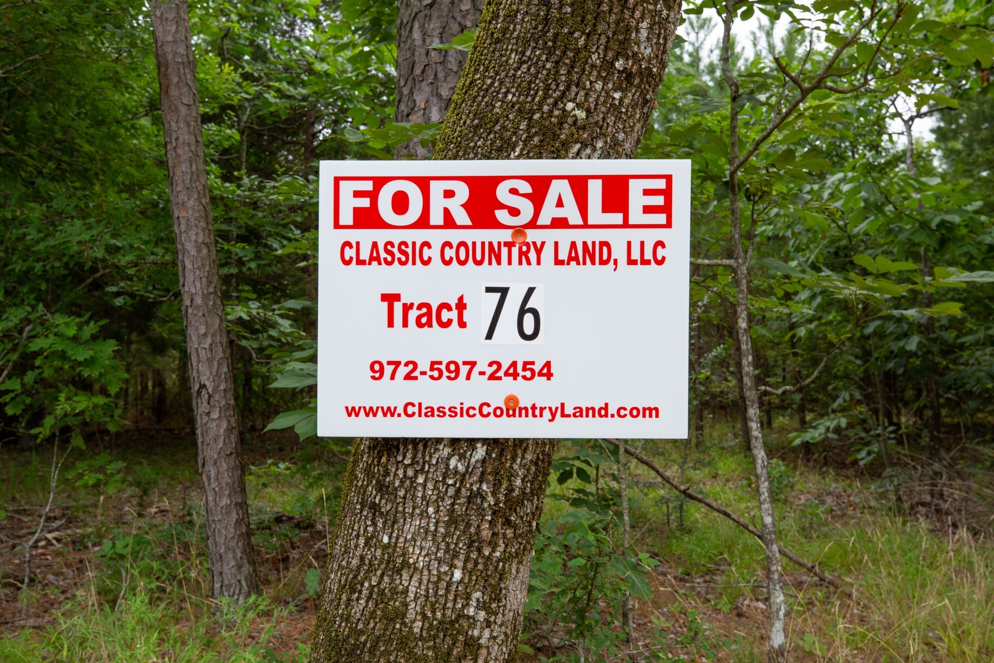 Eagle’s Nest Tract 76 photo 1