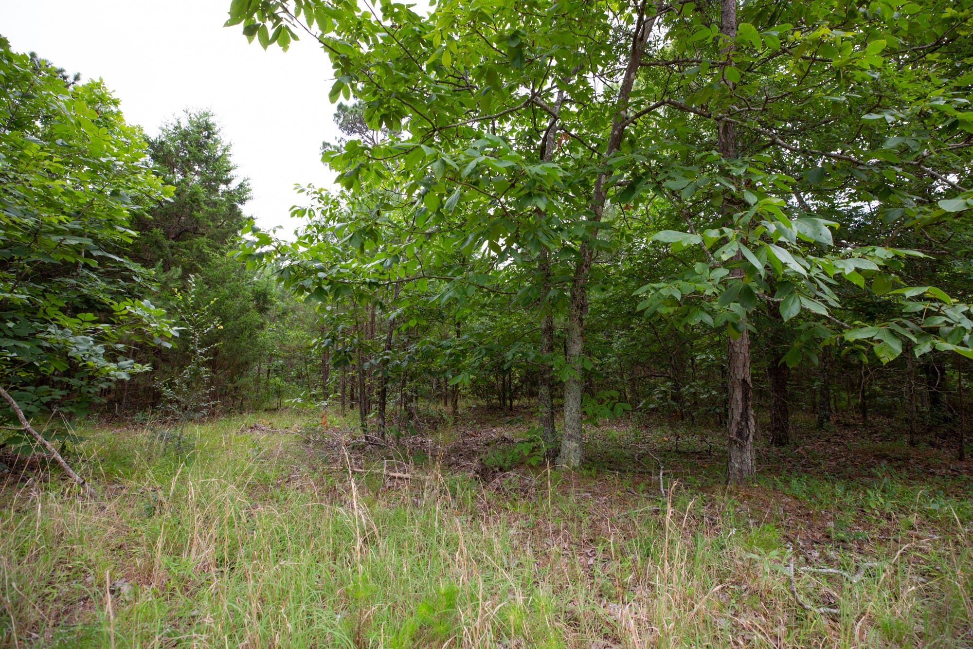 Eagle’s Nest Tract 76 photo 18