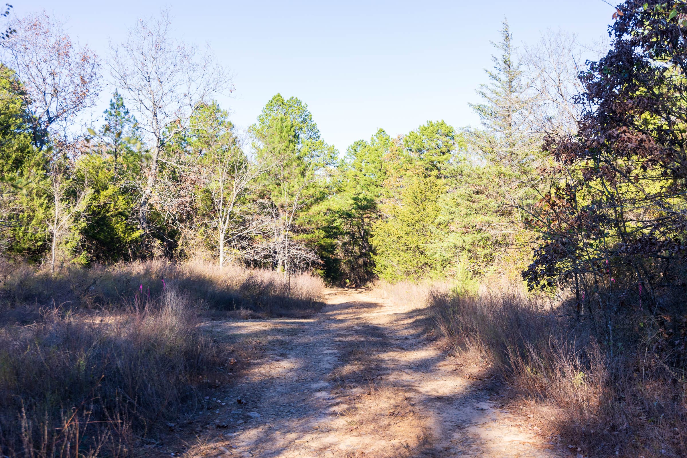 Stone Bridge Reserve Tract 31 photo 6