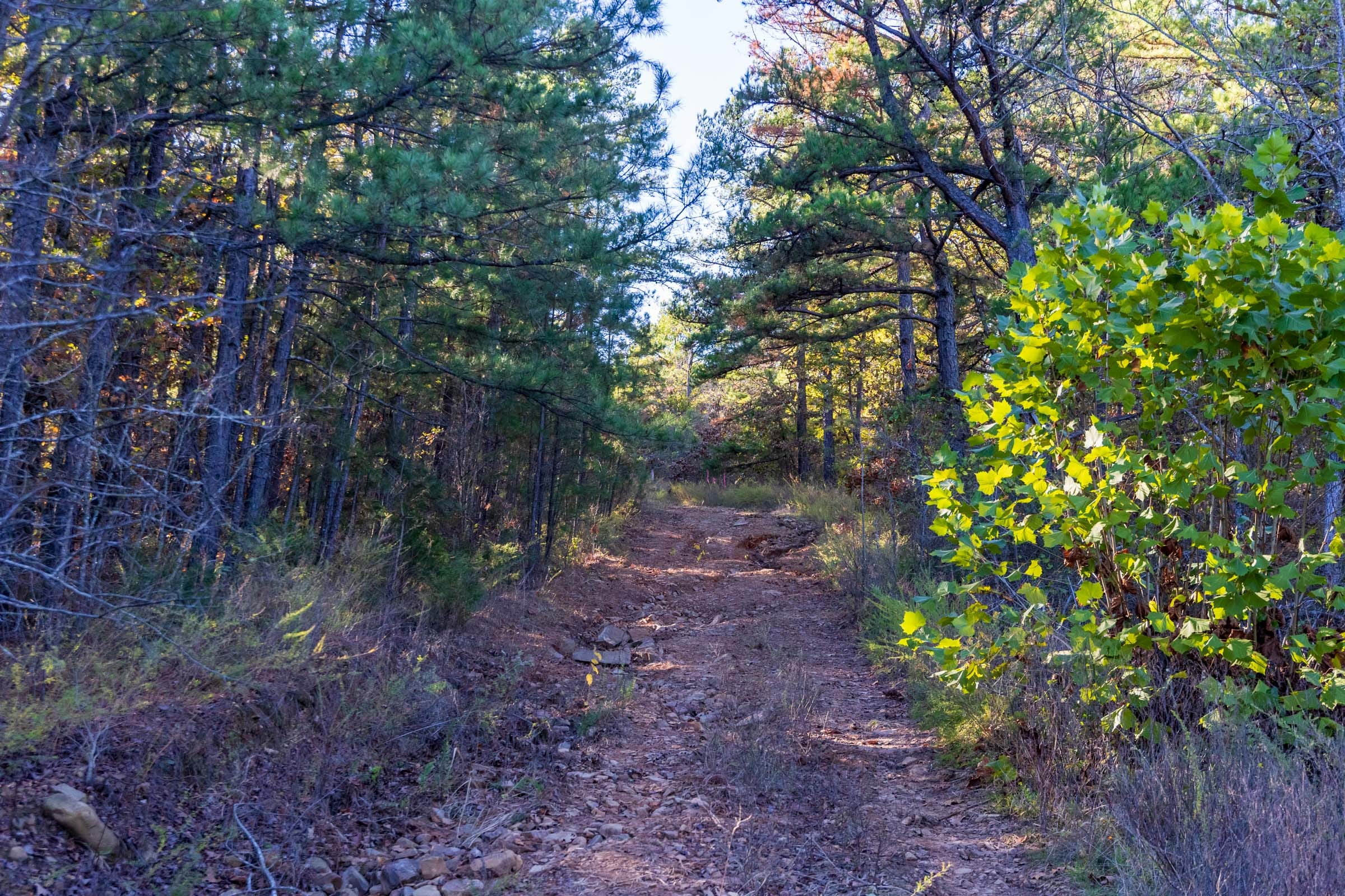 Stone Bridge Reserve Tract 31 photo 4