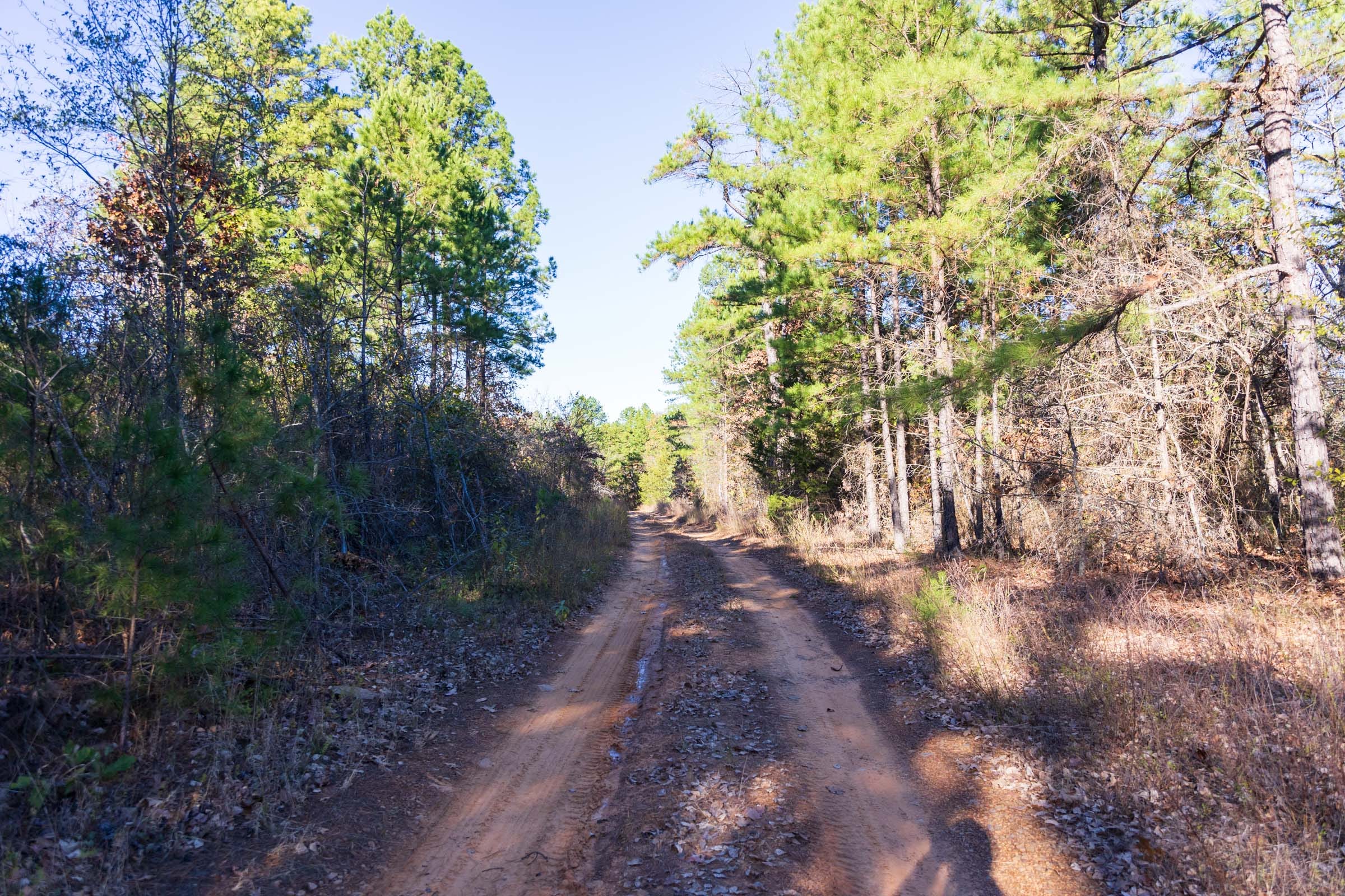 Stone Bridge Reserve Tract 31 photo 2