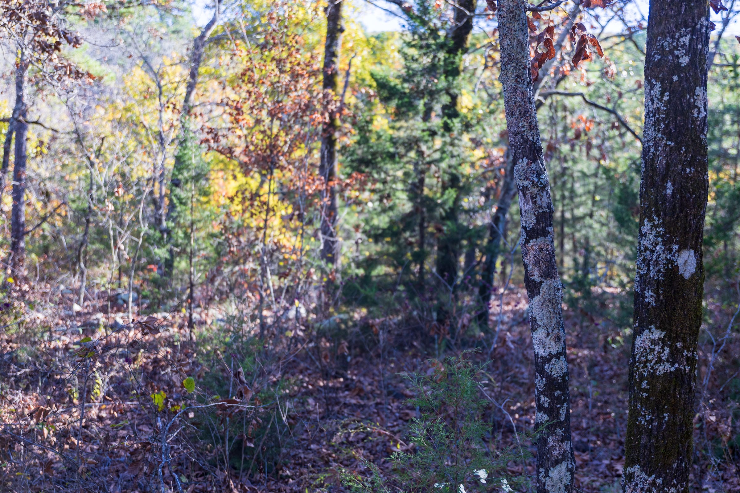 Stone Bridge Reserve Tract 31 photo 15