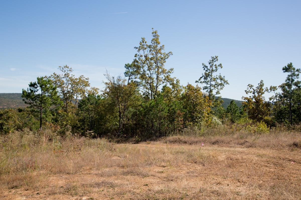 Stone Creek Phase I Tract 154 photo 5