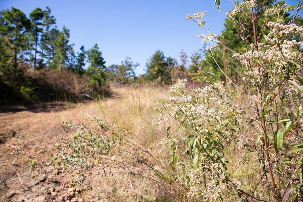 Stone Creek Phase I Tract 154 photo 6