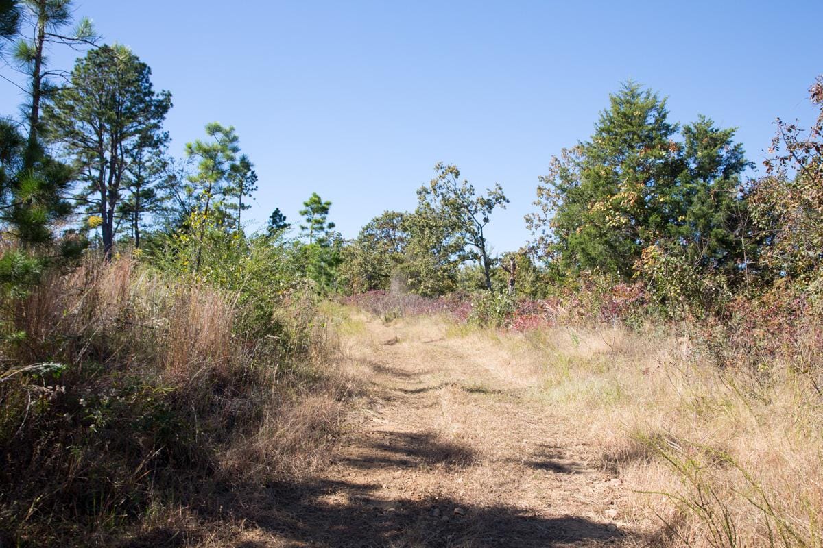 Stone Creek Phase I Tract 154 photo 2