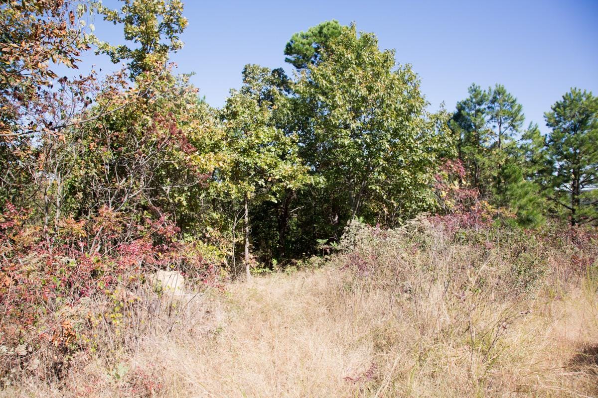 Stone Creek Phase I Tract 154 photo 9