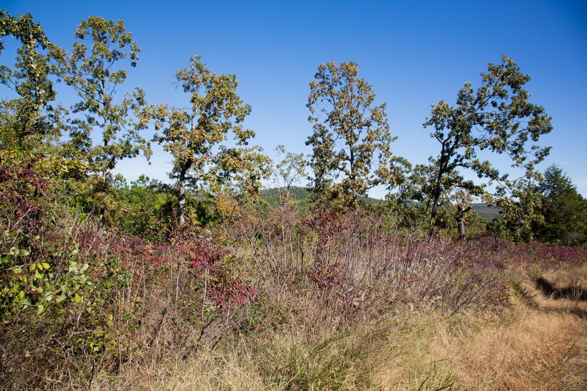 Stone Creek Phase I Tract 154 photo 11