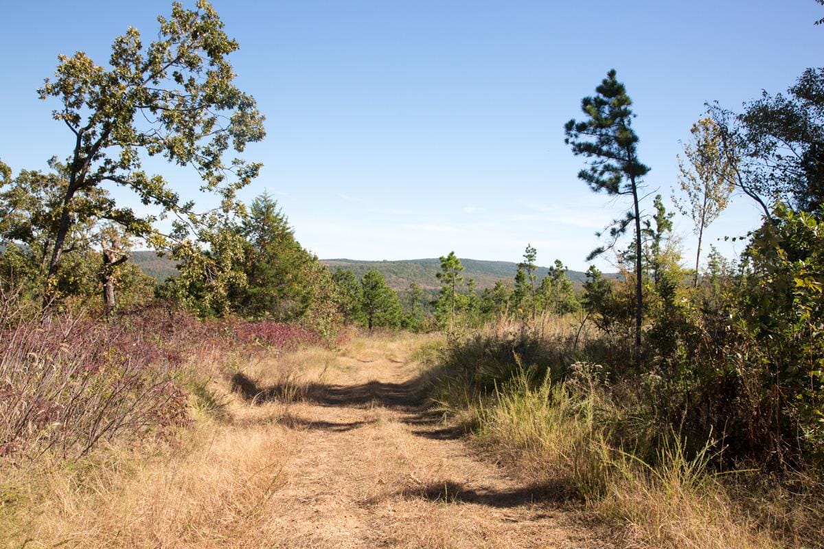 Stone Creek Phase I Tract 154 photo 7