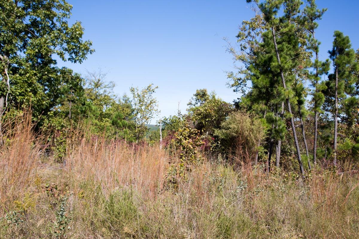 Stone Creek Phase I Tract 154 photo 12