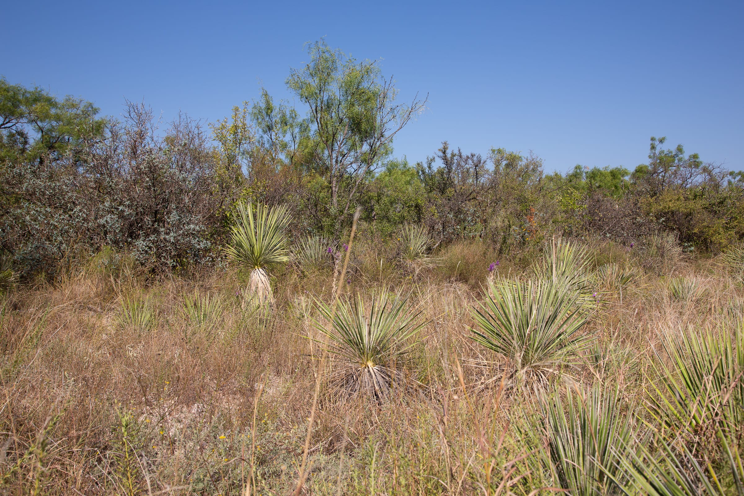 Hunter’s Ranch Tract 10 photo 3