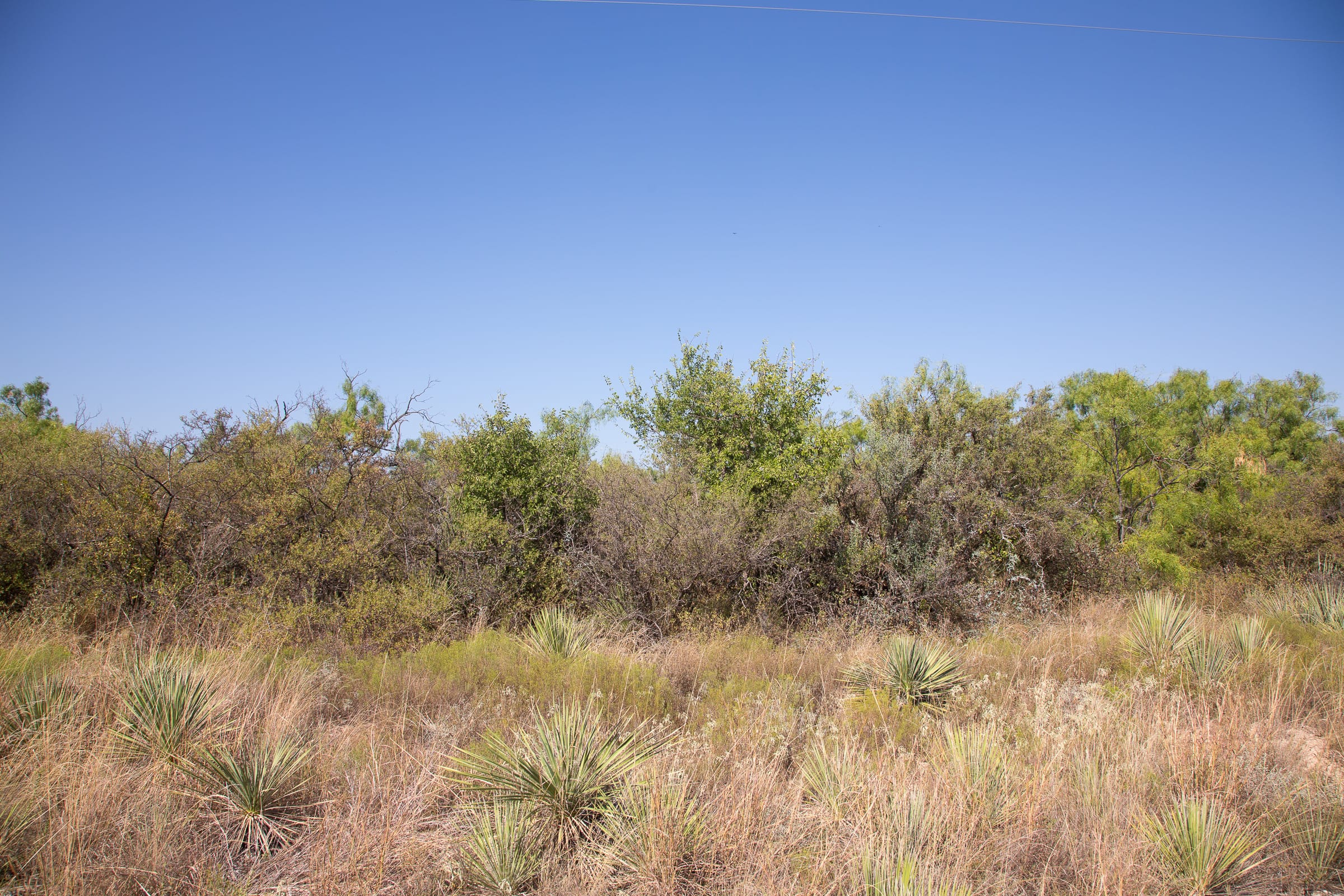 Hunter’s Ranch Tract 10 photo 4
