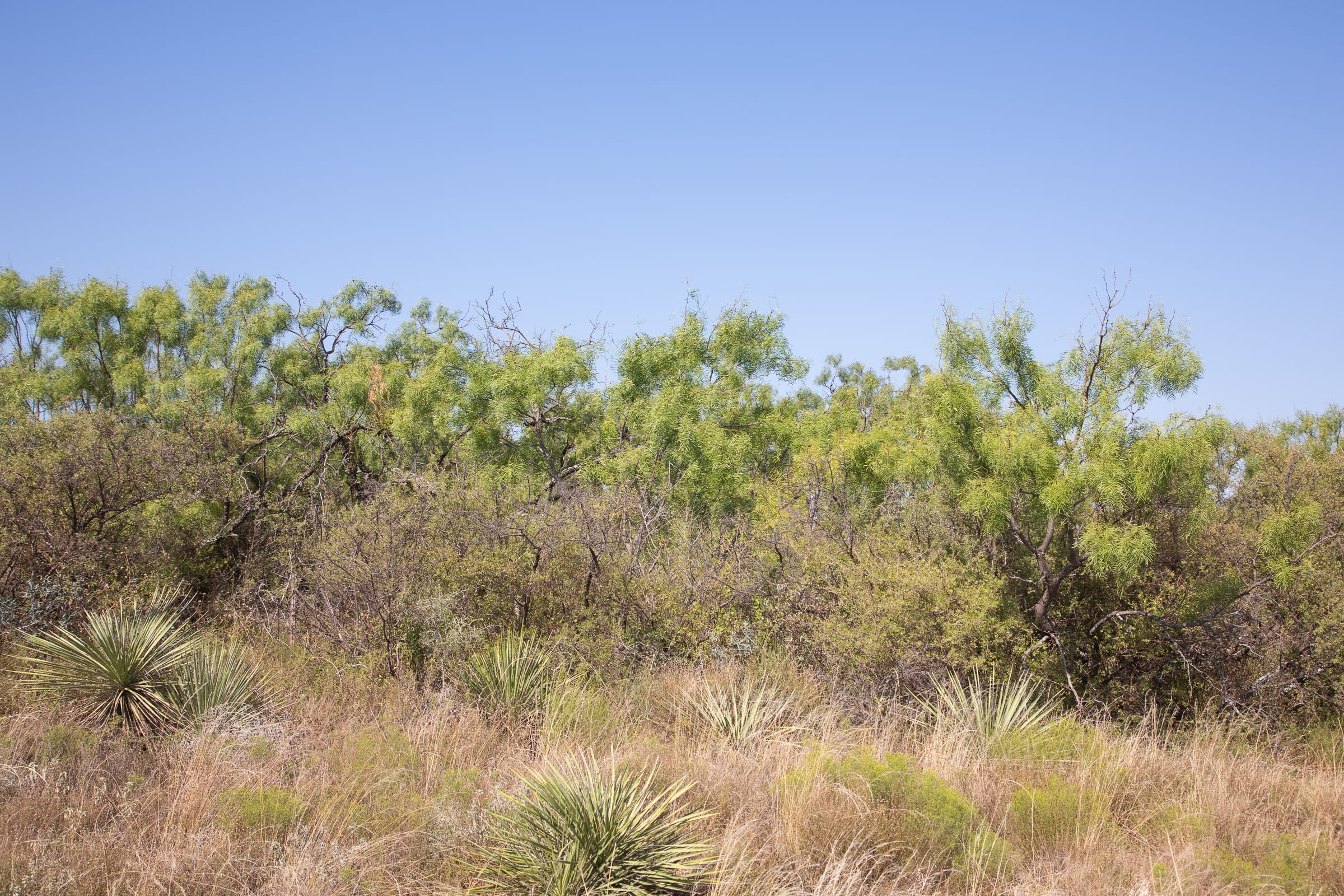 Hunter’s Ranch Tract 10 photo 5