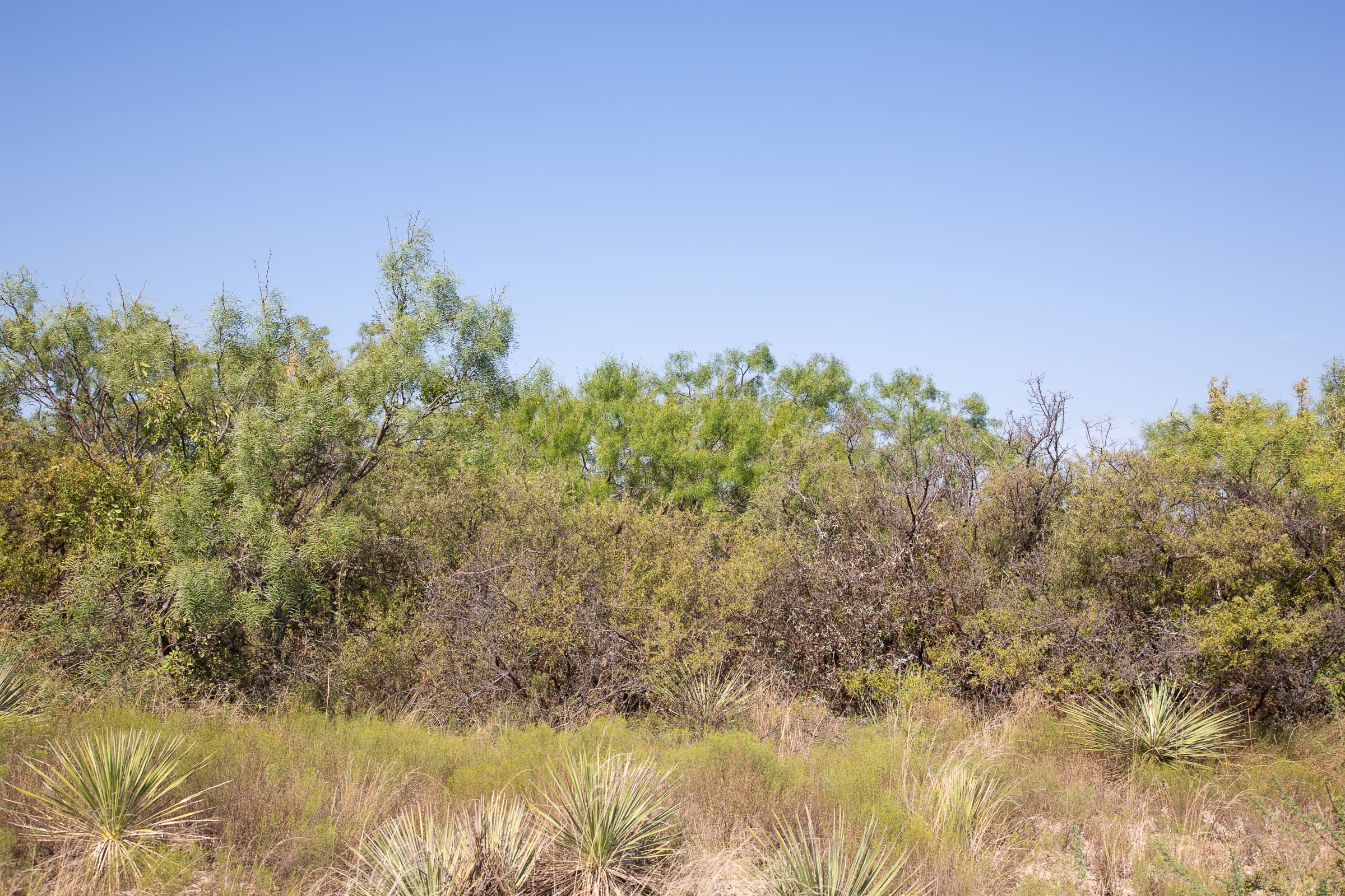 Hunter’s Ranch Tract 10 photo 6