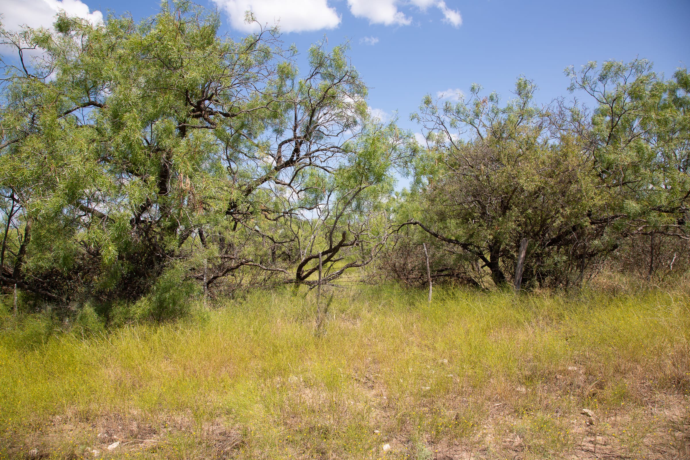 Hunter’s Ranch Tract 10 photo 7