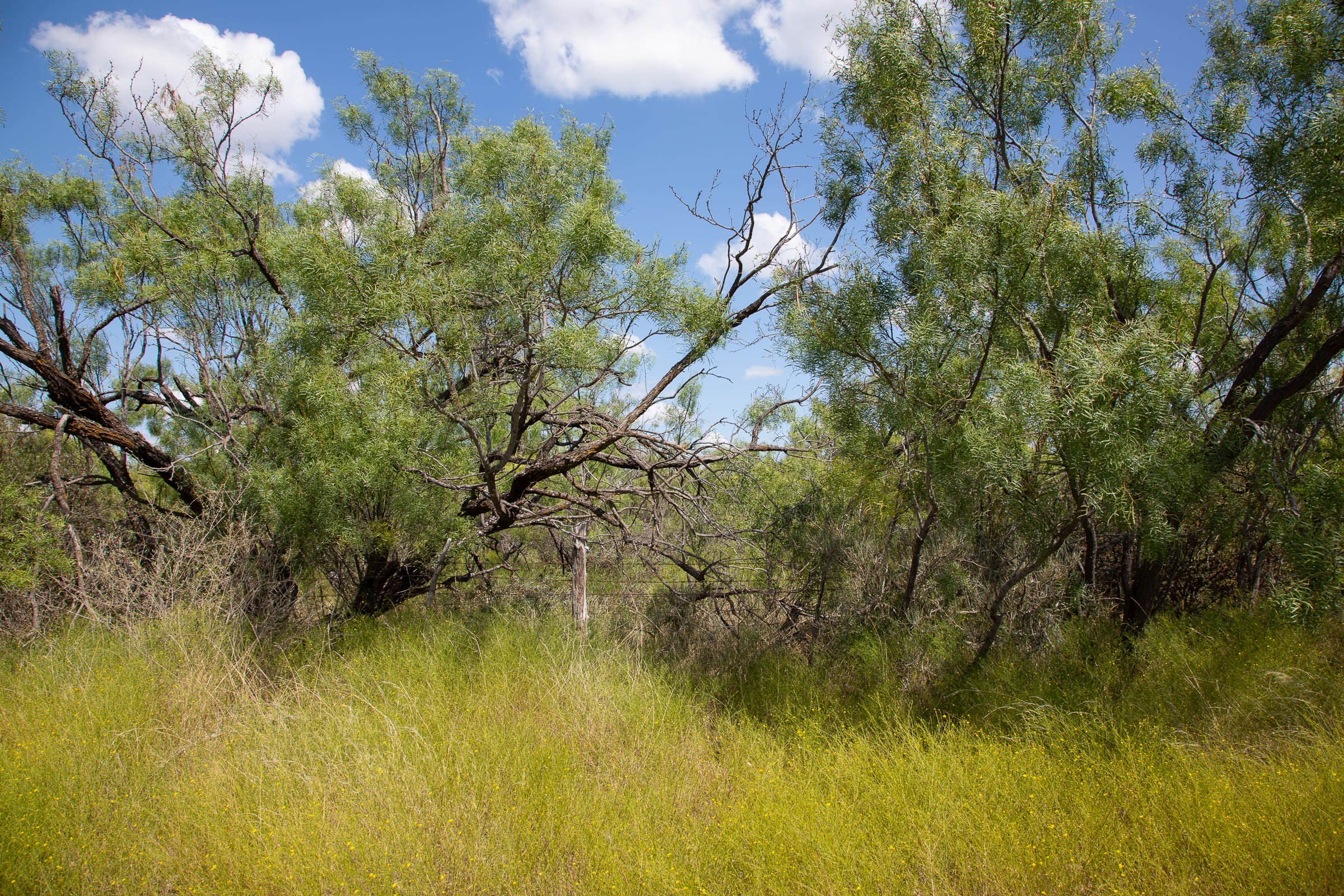 Hunter’s Ranch Tract 10 photo 8
