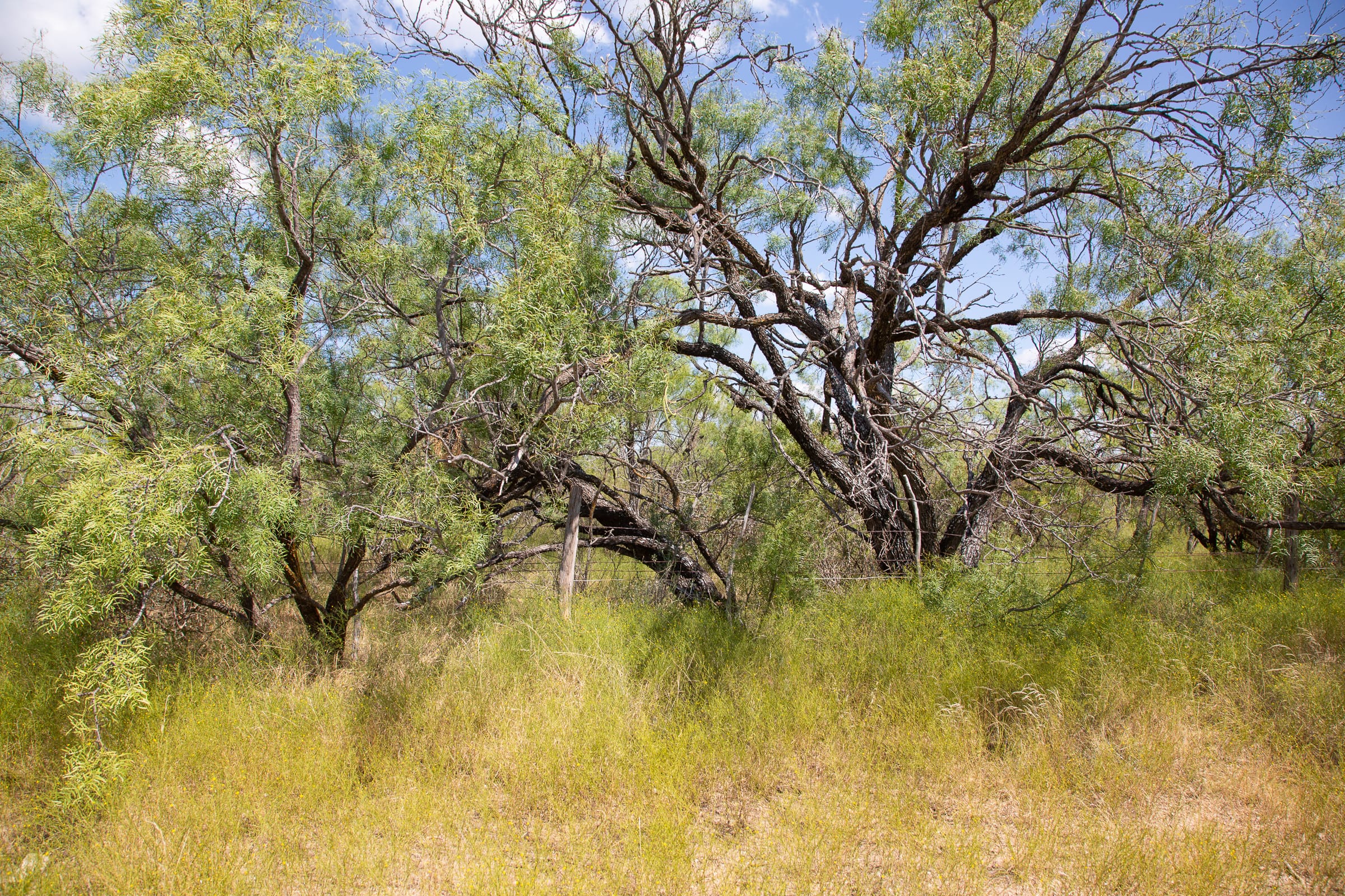 Hunter’s Ranch Tract 10 photo 10