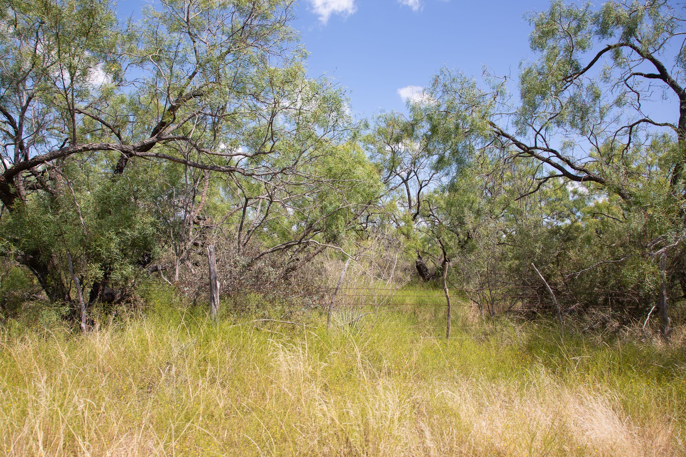 Hunter’s Ranch Tract 10 photo 11
