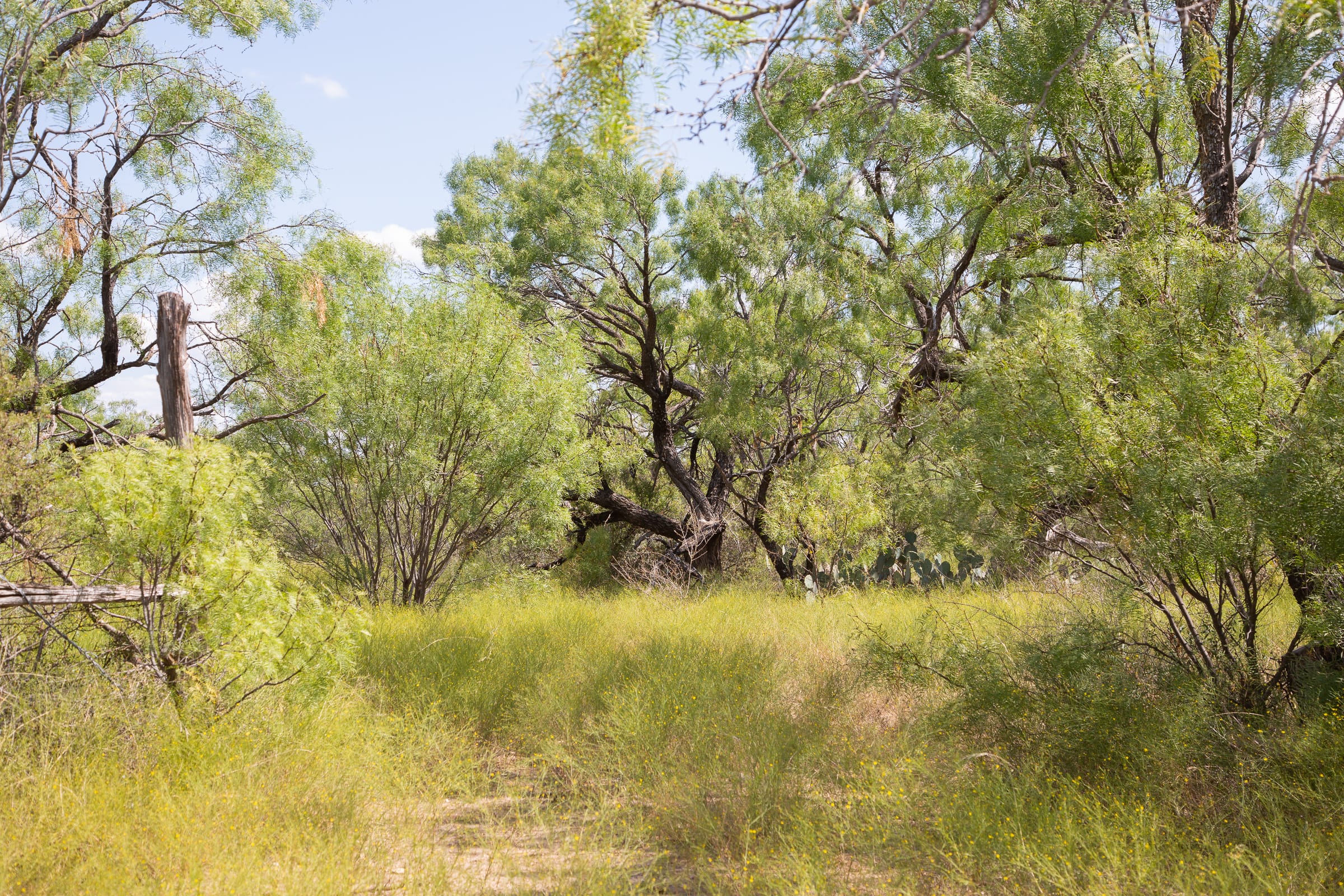 Hunter’s Ranch Tract 10 photo 12