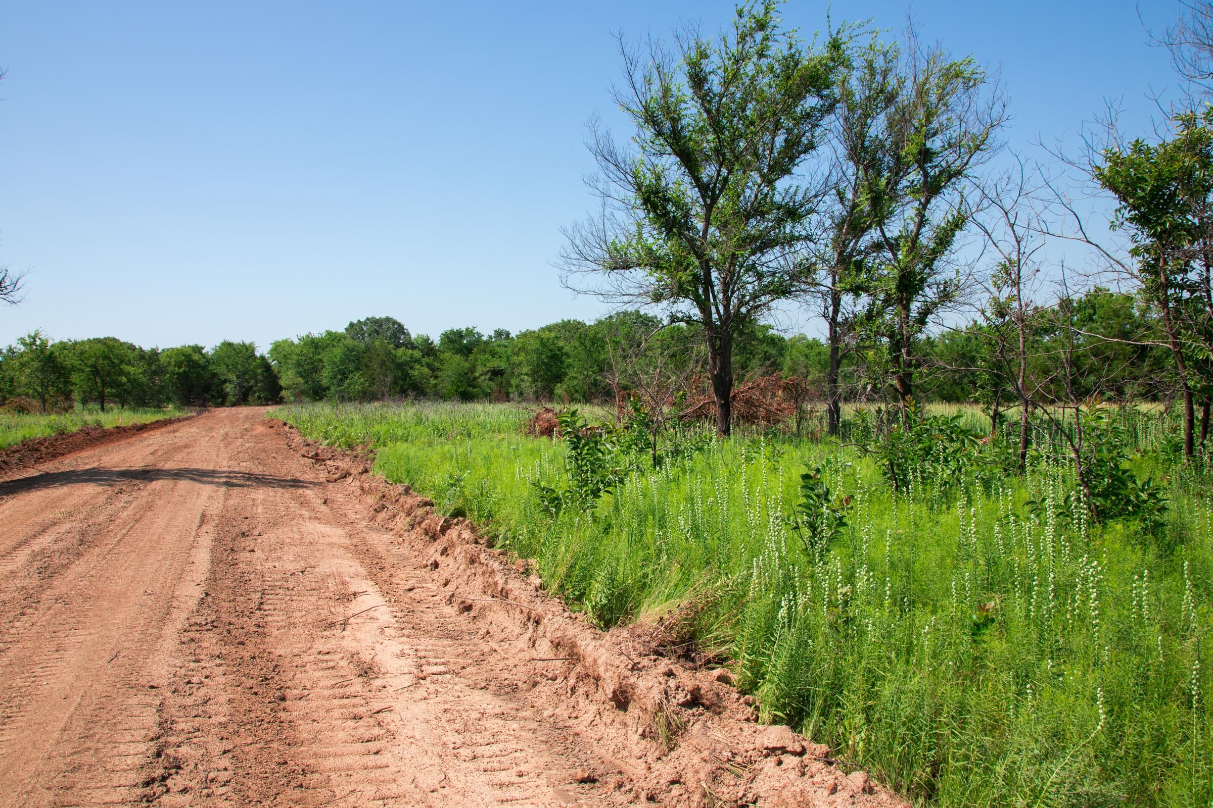 Deep Fork Ranch Tract 17 photo 4