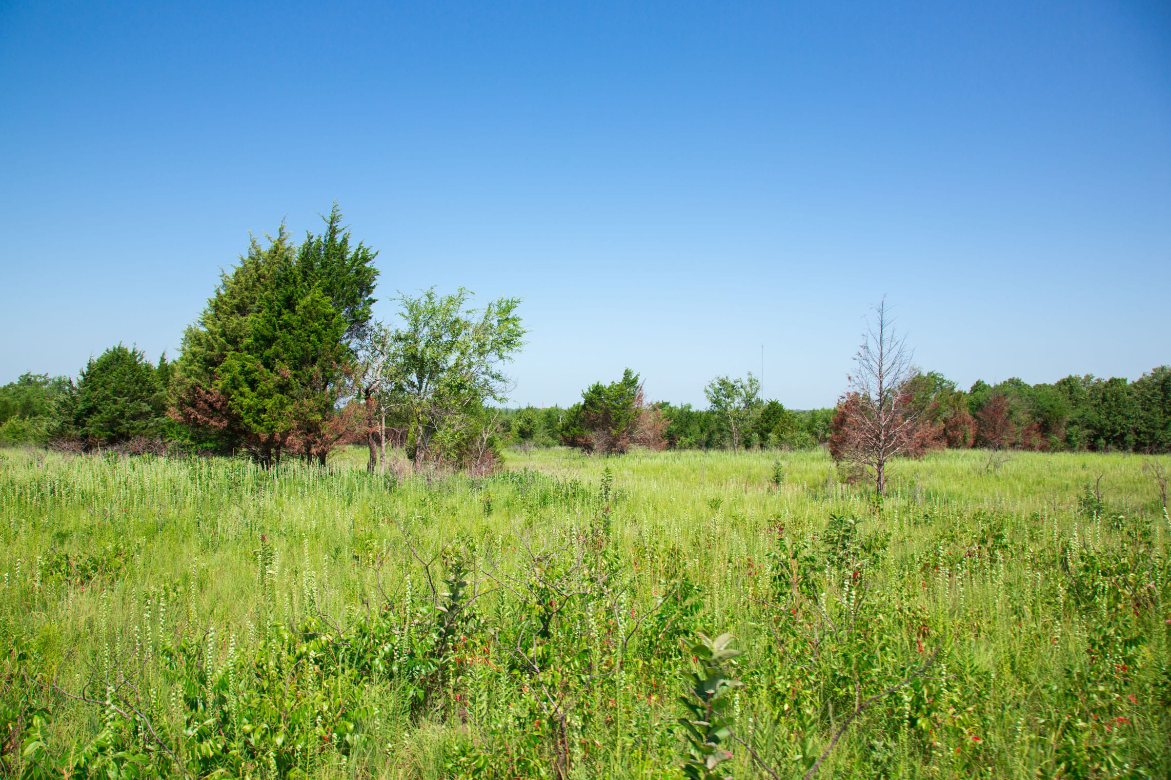 Deep Fork Ranch Tract 17 photo 8