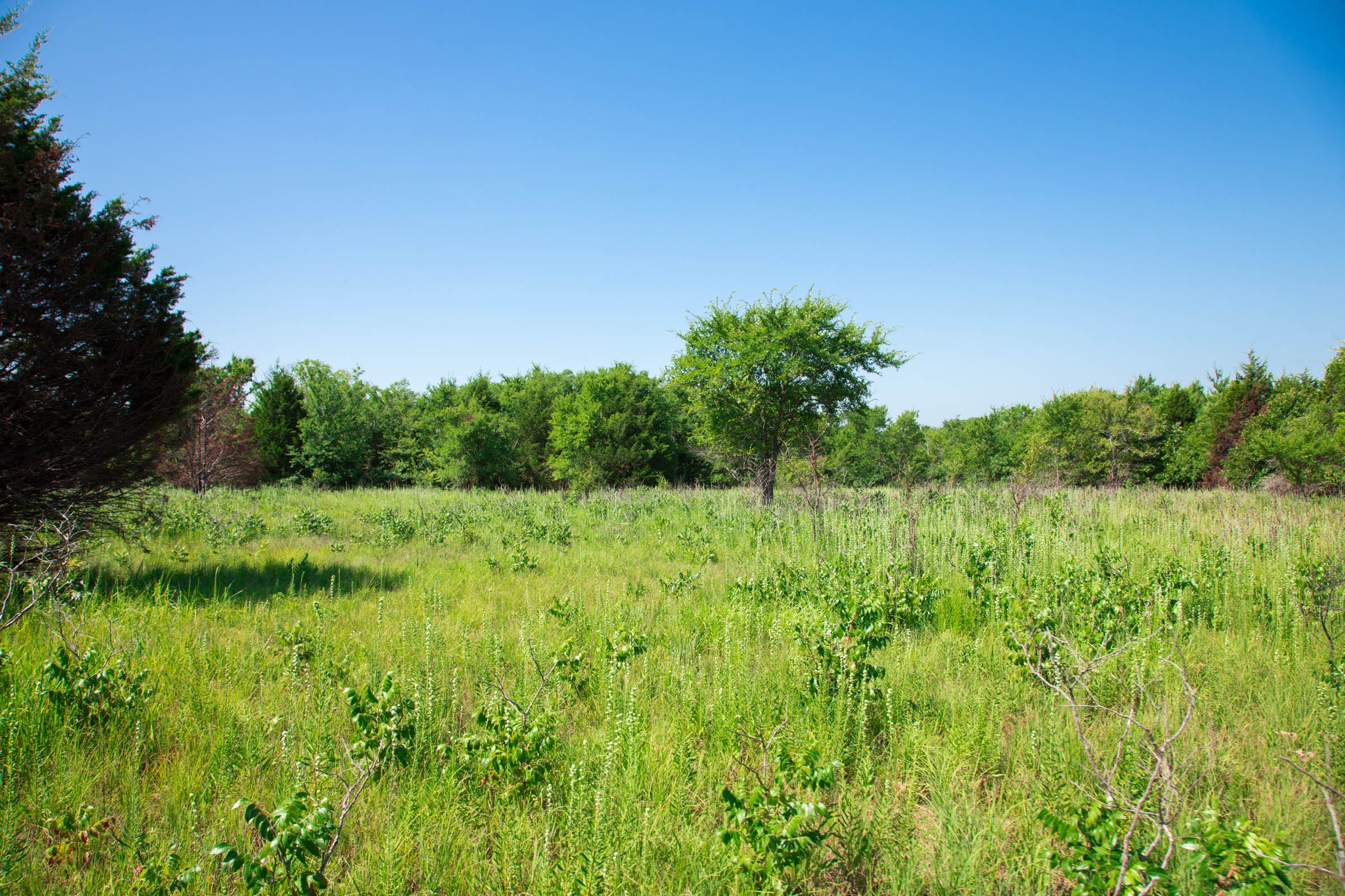 Deep Fork Ranch Tract 17 photo 11