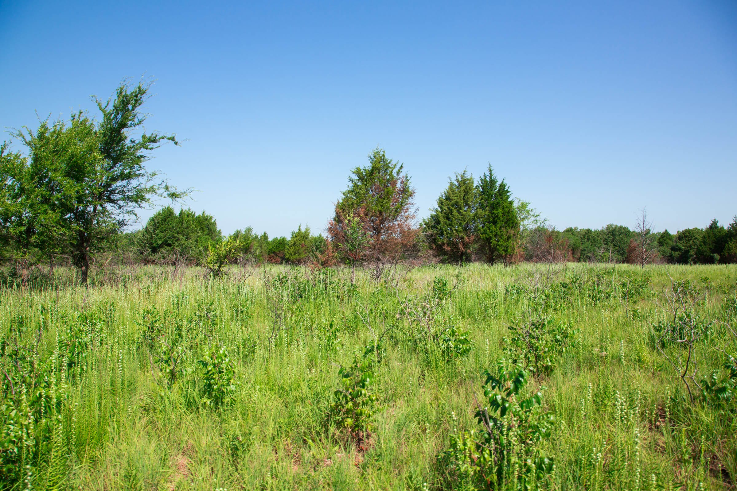Deep Fork Ranch Tract 17 photo 12
