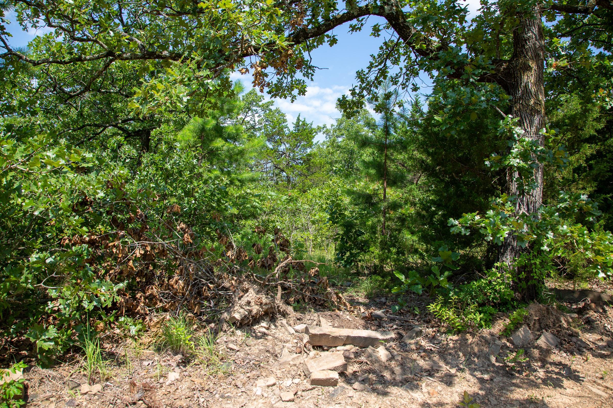 Tyler Stone Ranch Tract 56 photo 4