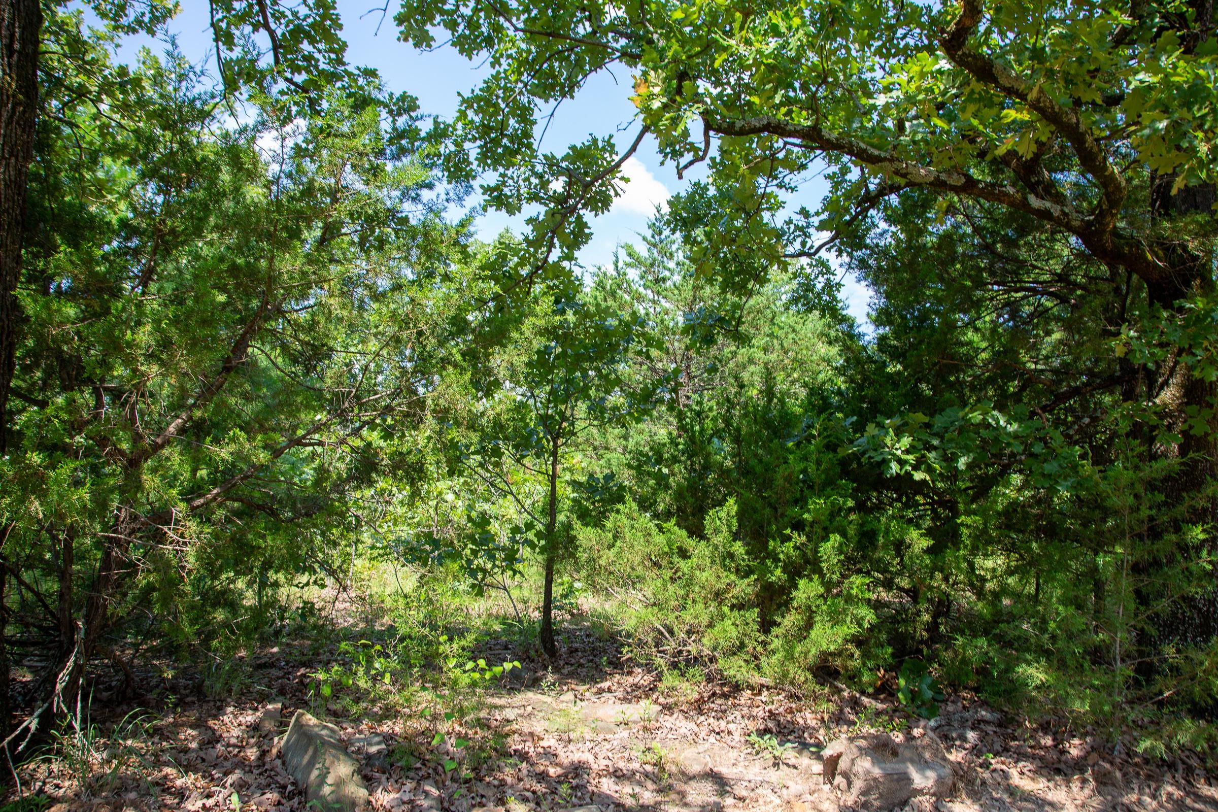Tyler Stone Ranch Tract 56 photo 6