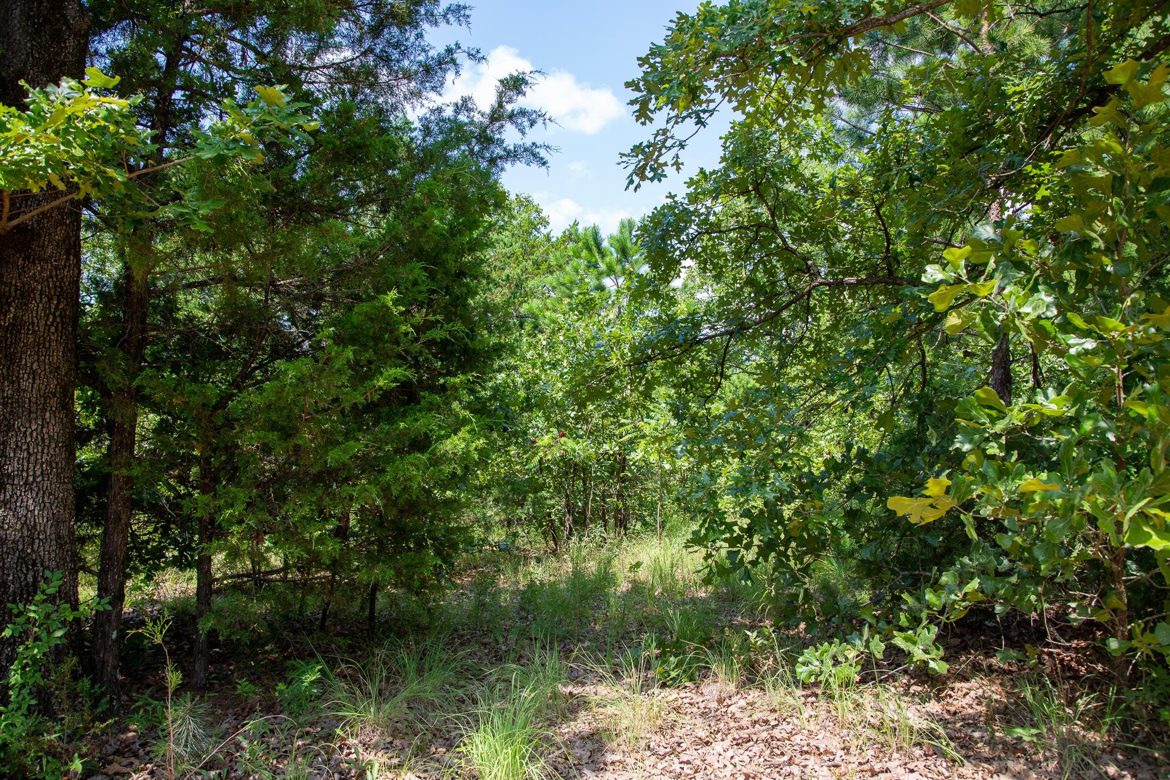 Tyler Stone Ranch Tract 56 photo 7