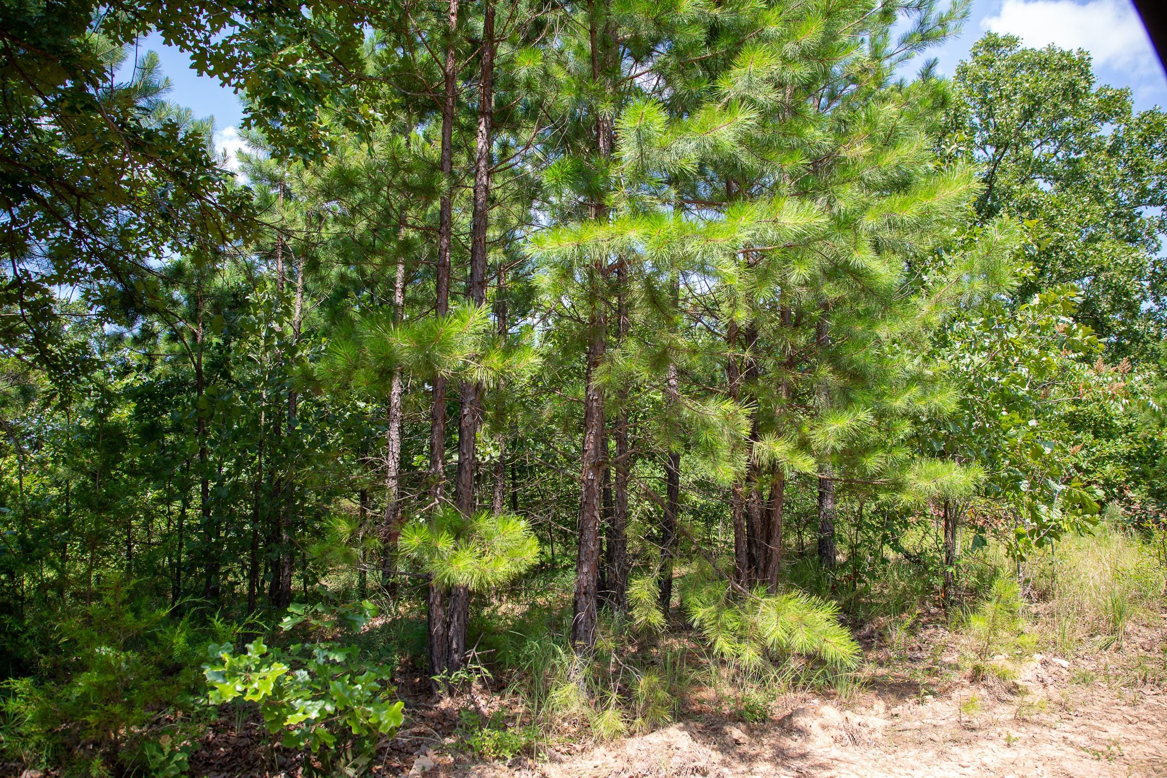 Tyler Stone Ranch Tract 56 photo 1