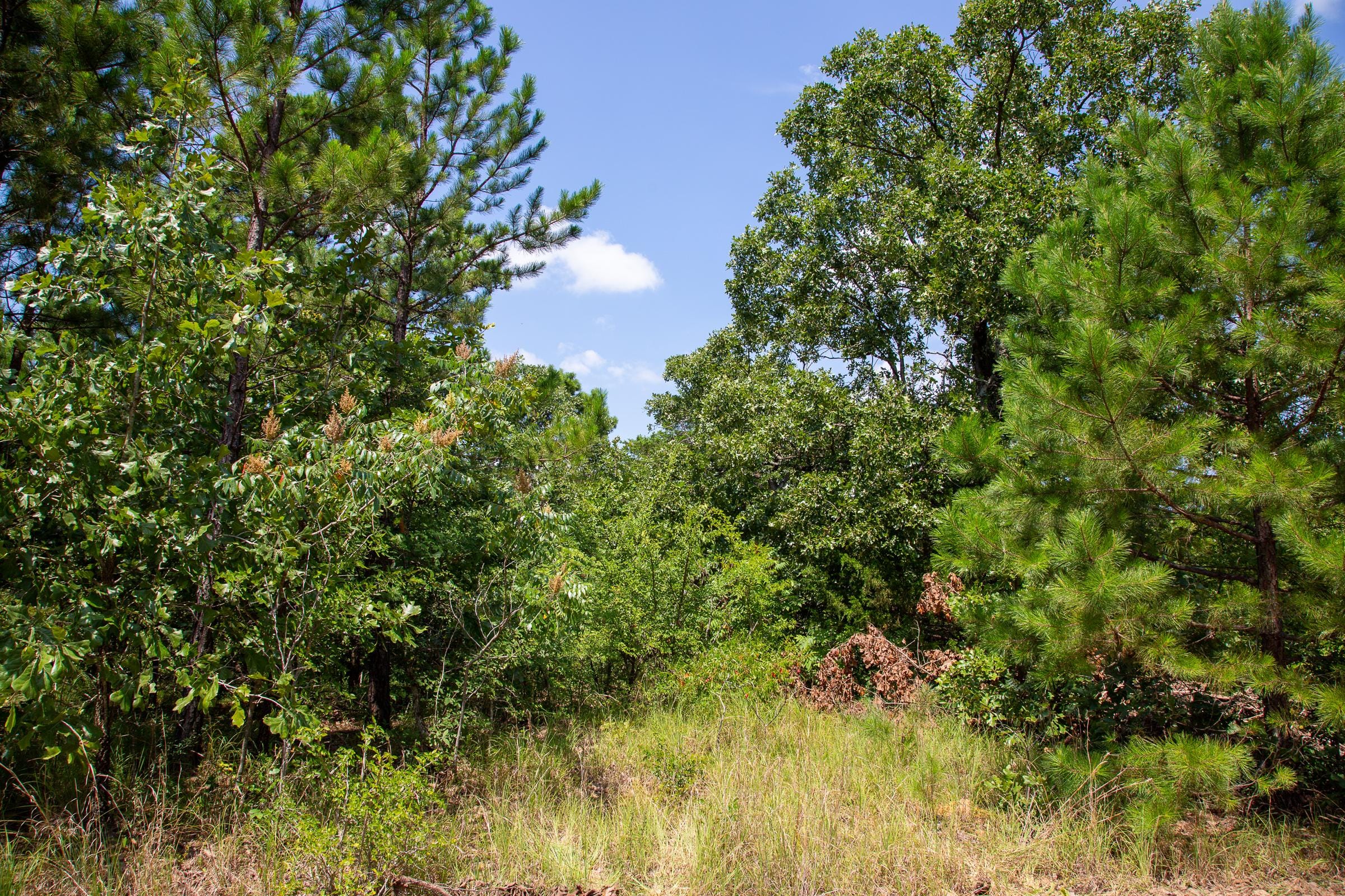 Tyler Stone Ranch Tract 56 photo 9