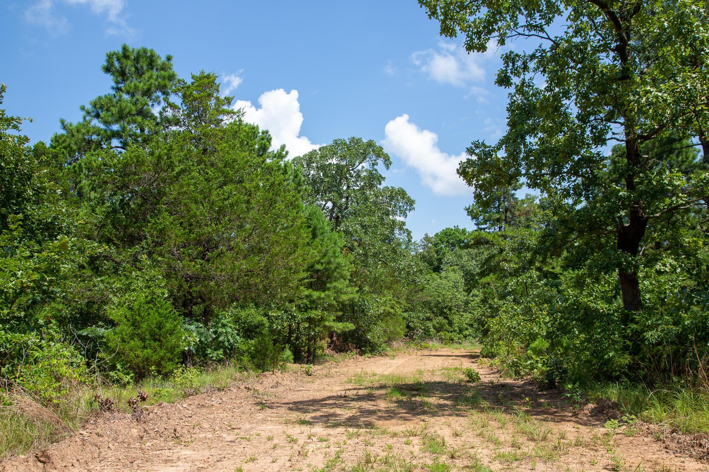 Tyler Stone Ranch Tract 56 photo 8