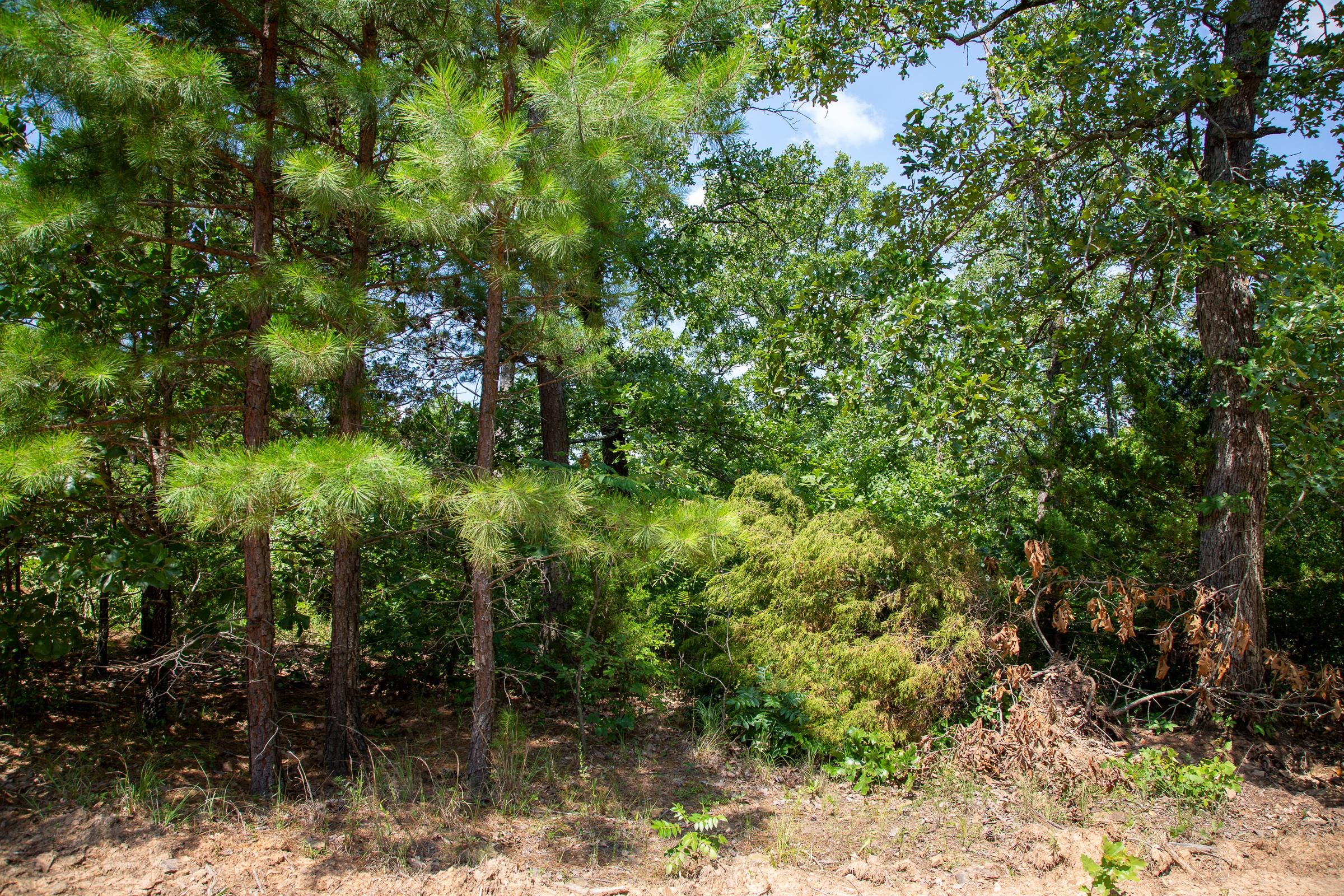 Tyler Stone Ranch Tract 56 photo 12