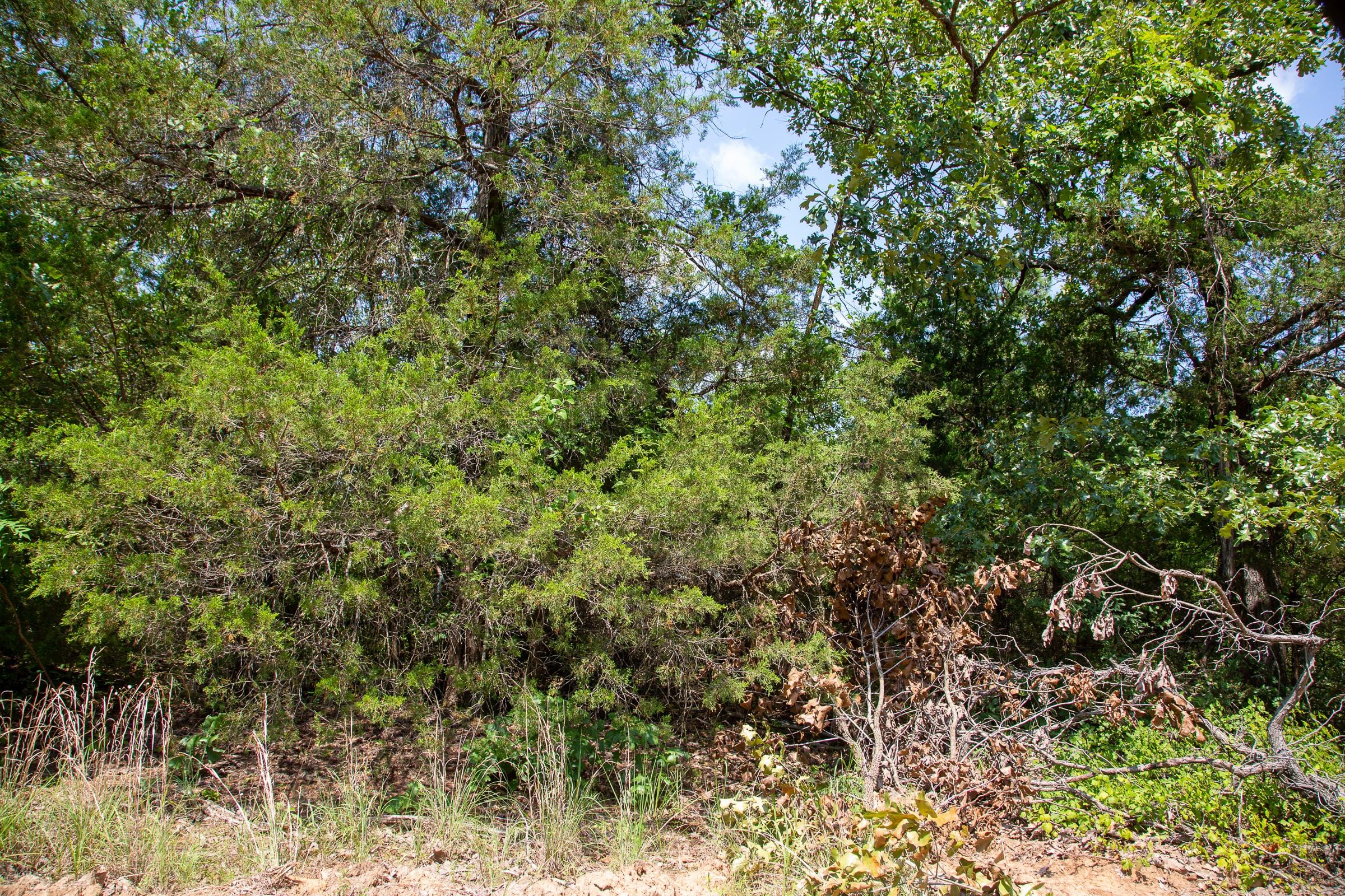 Tyler Stone Ranch Tract 56 photo 14