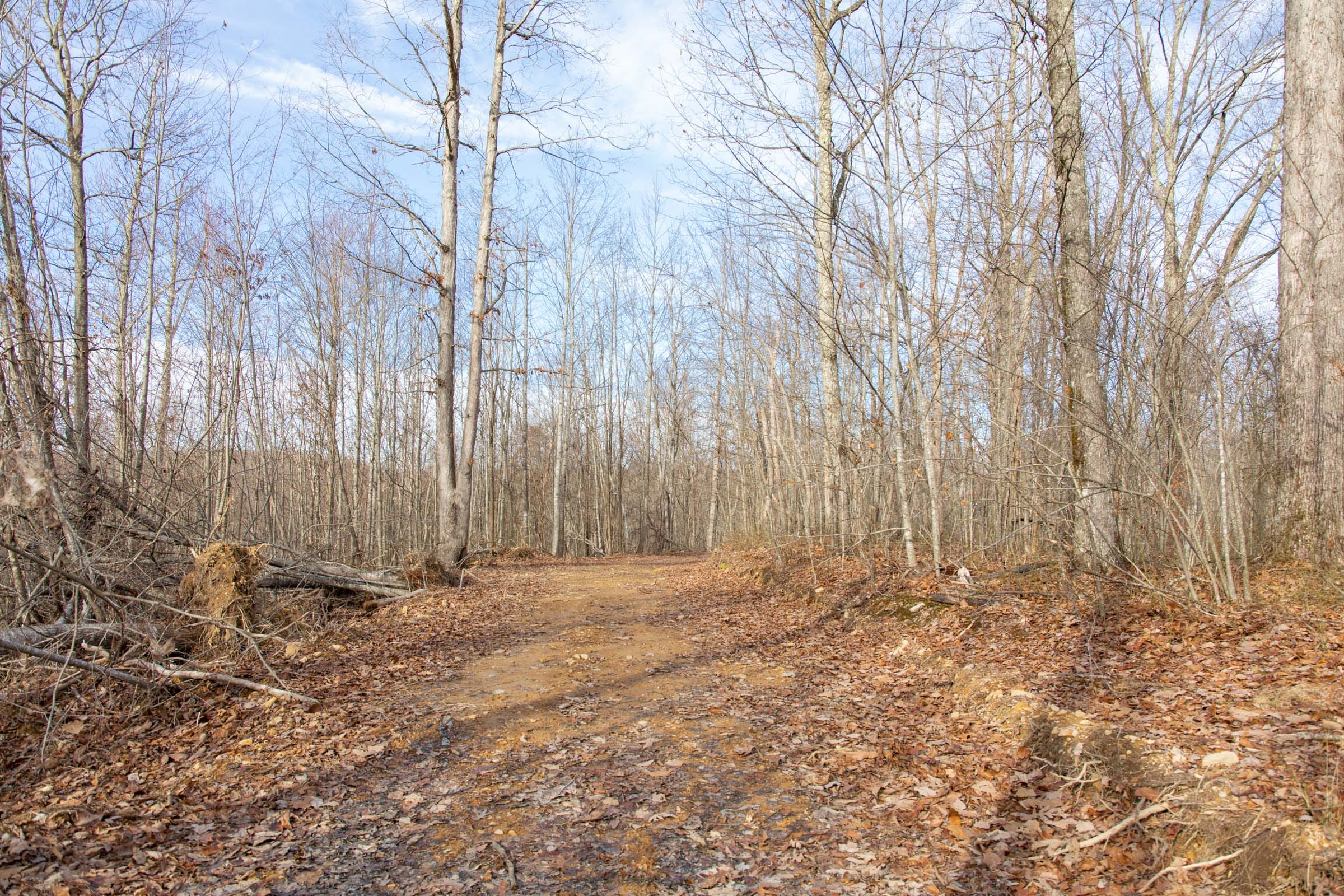 Blackstone Mountain Phase I Tract 29 photo 5