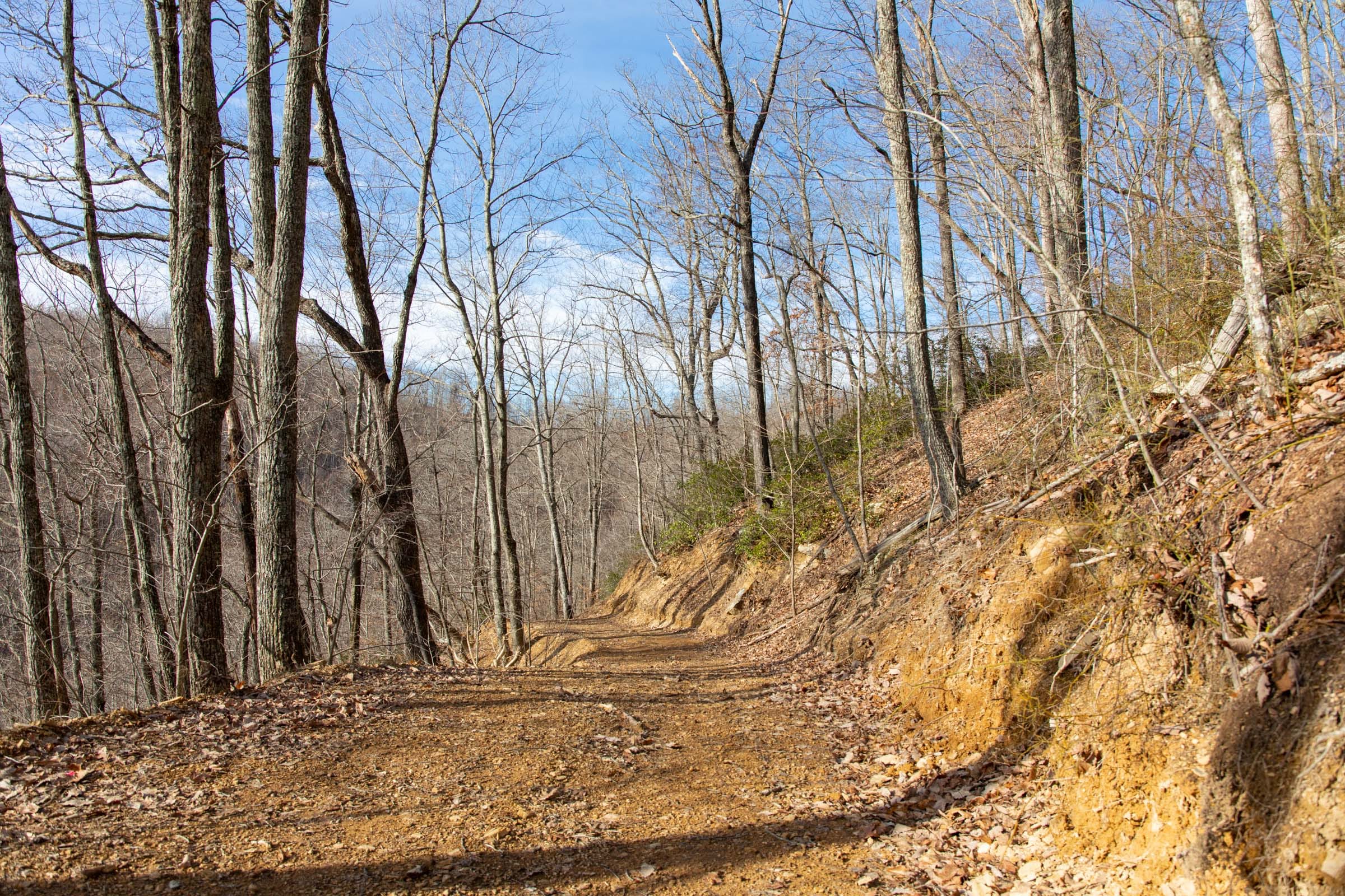 Blackstone Mountain Phase I Tract 29 photo 7
