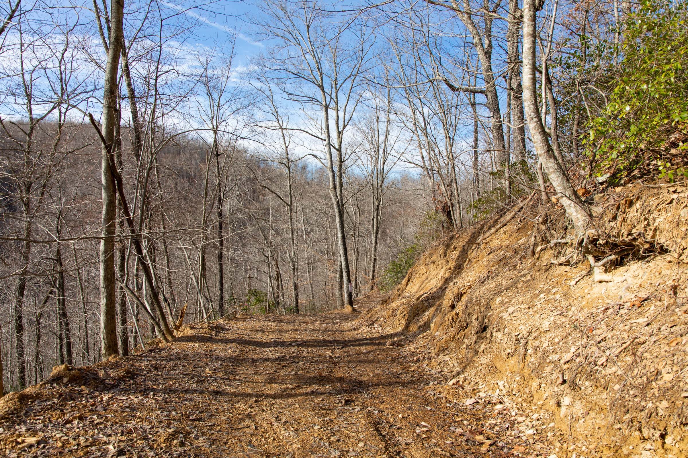 Blackstone Mountain Phase I Tract 29 photo 9