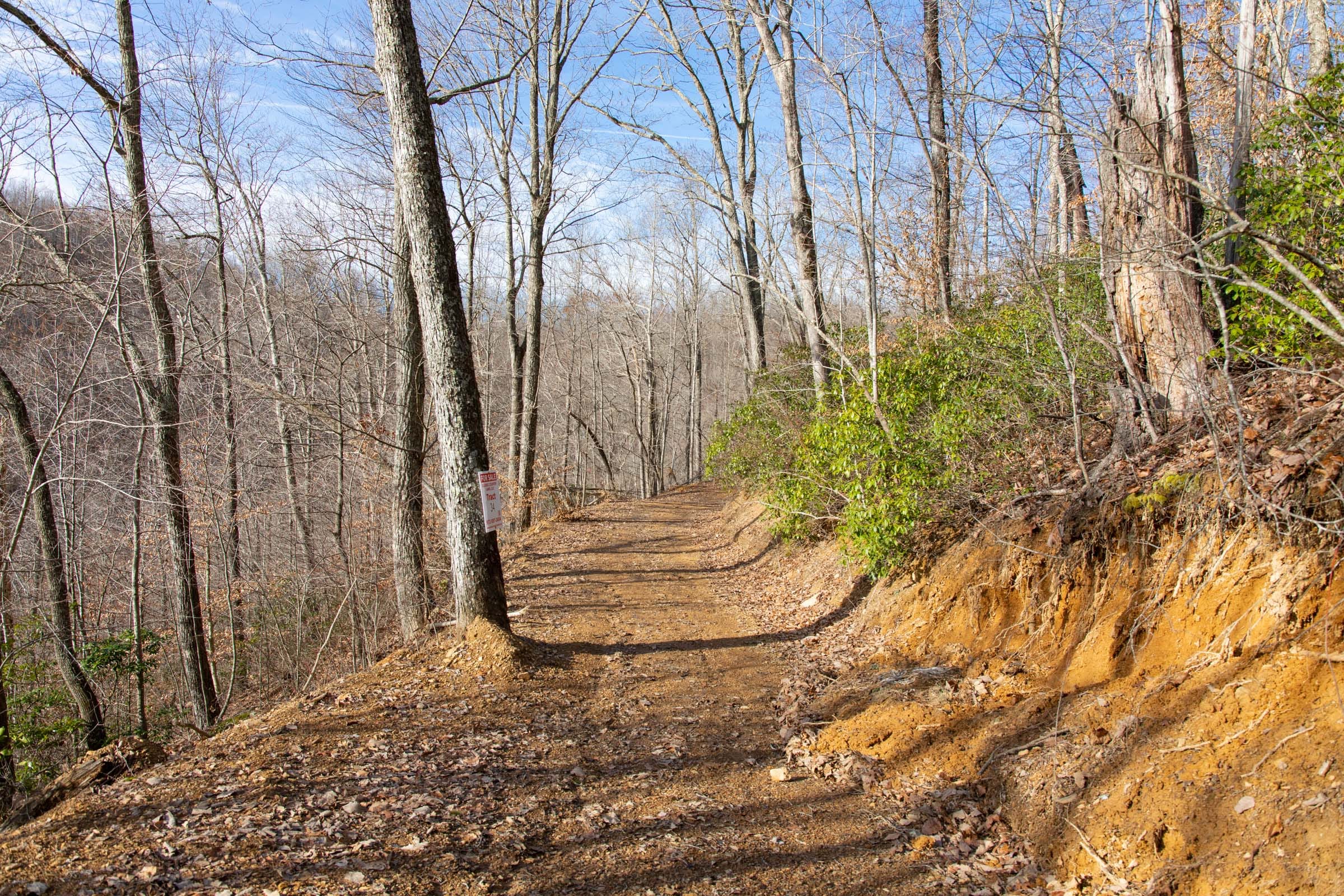 Blackstone Mountain Phase I Tract 29 photo 11