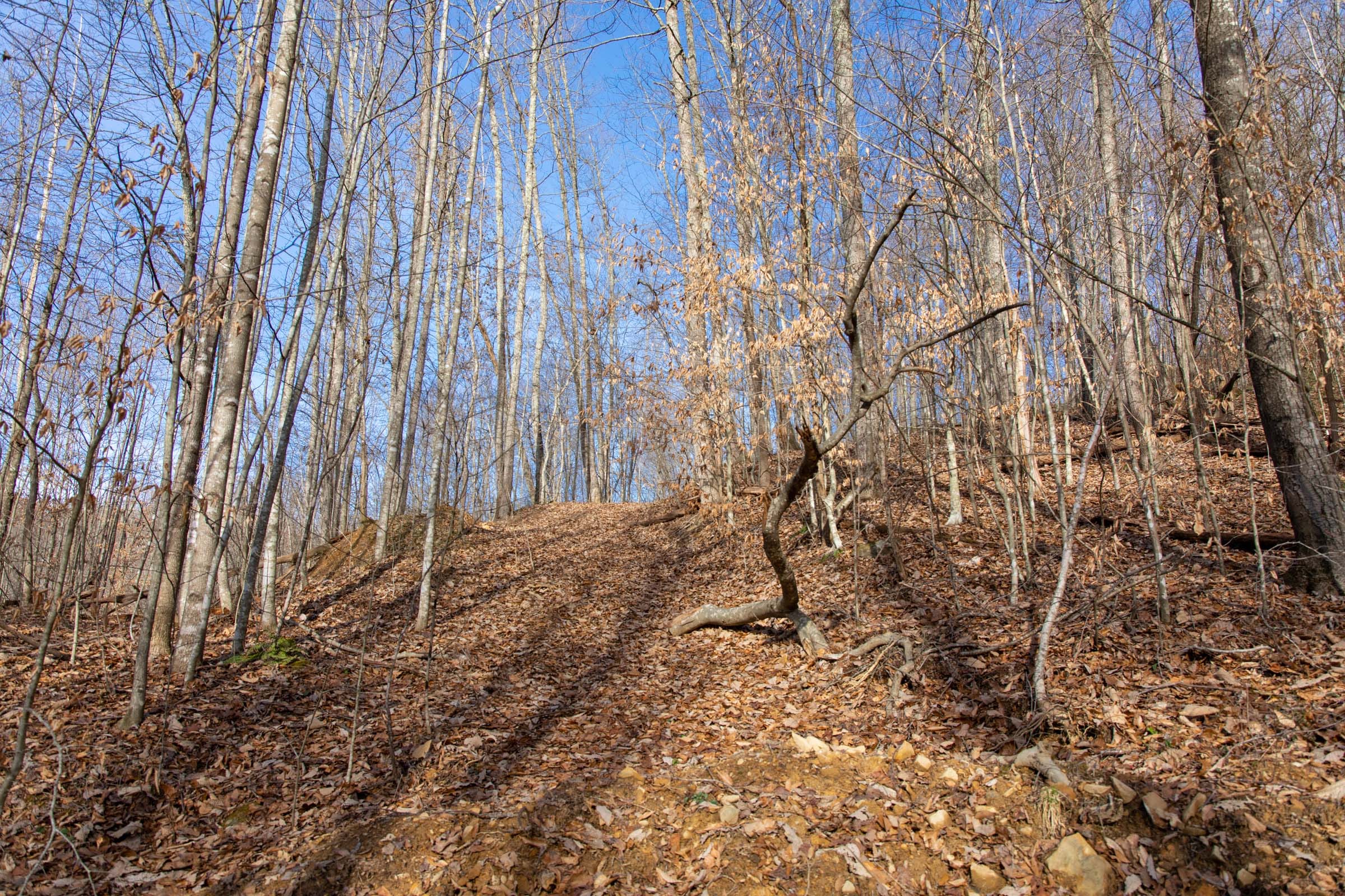Blackstone Mountain Phase I Tract 29 photo 13