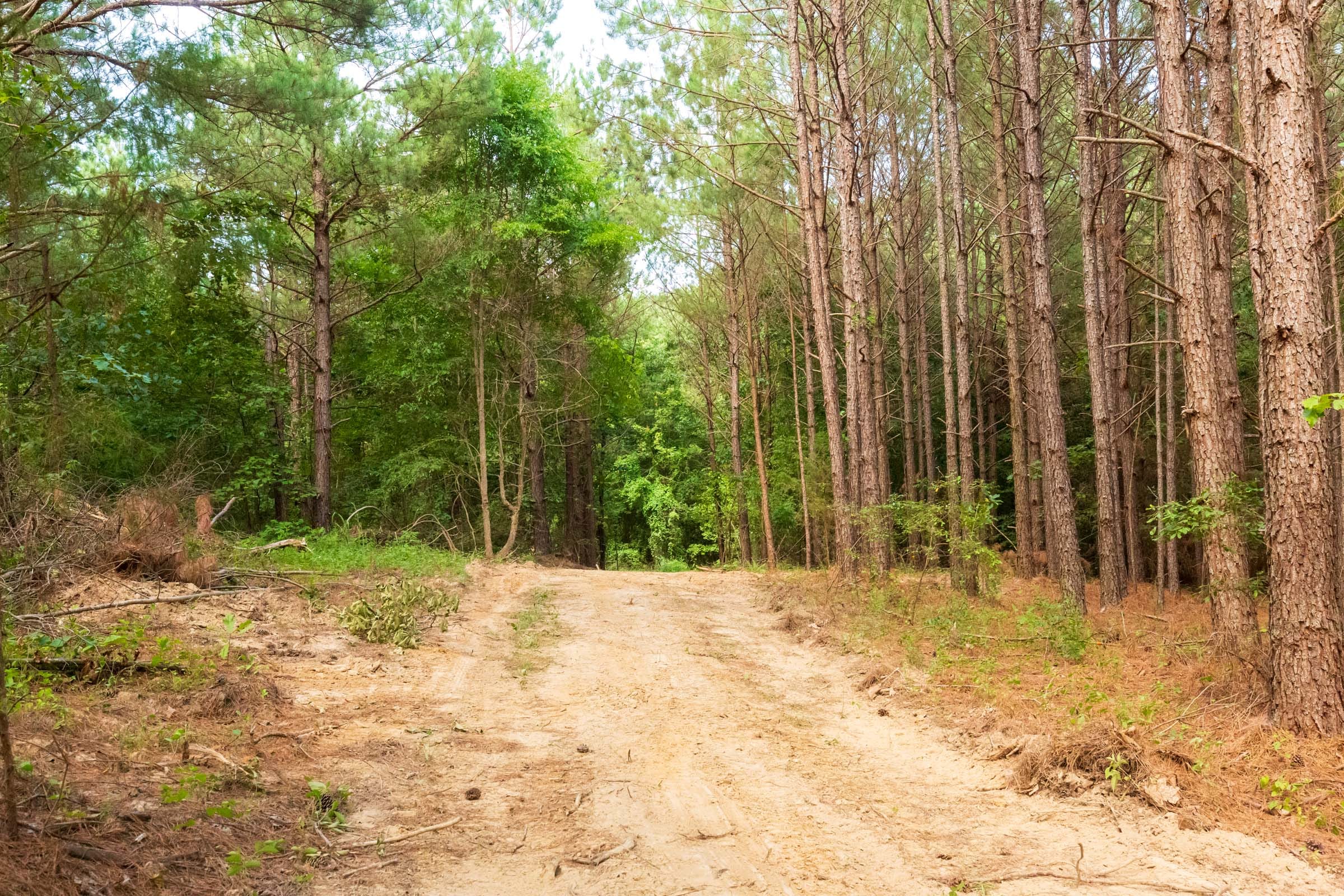 Whiskey Ridge Tract 72 photo 2