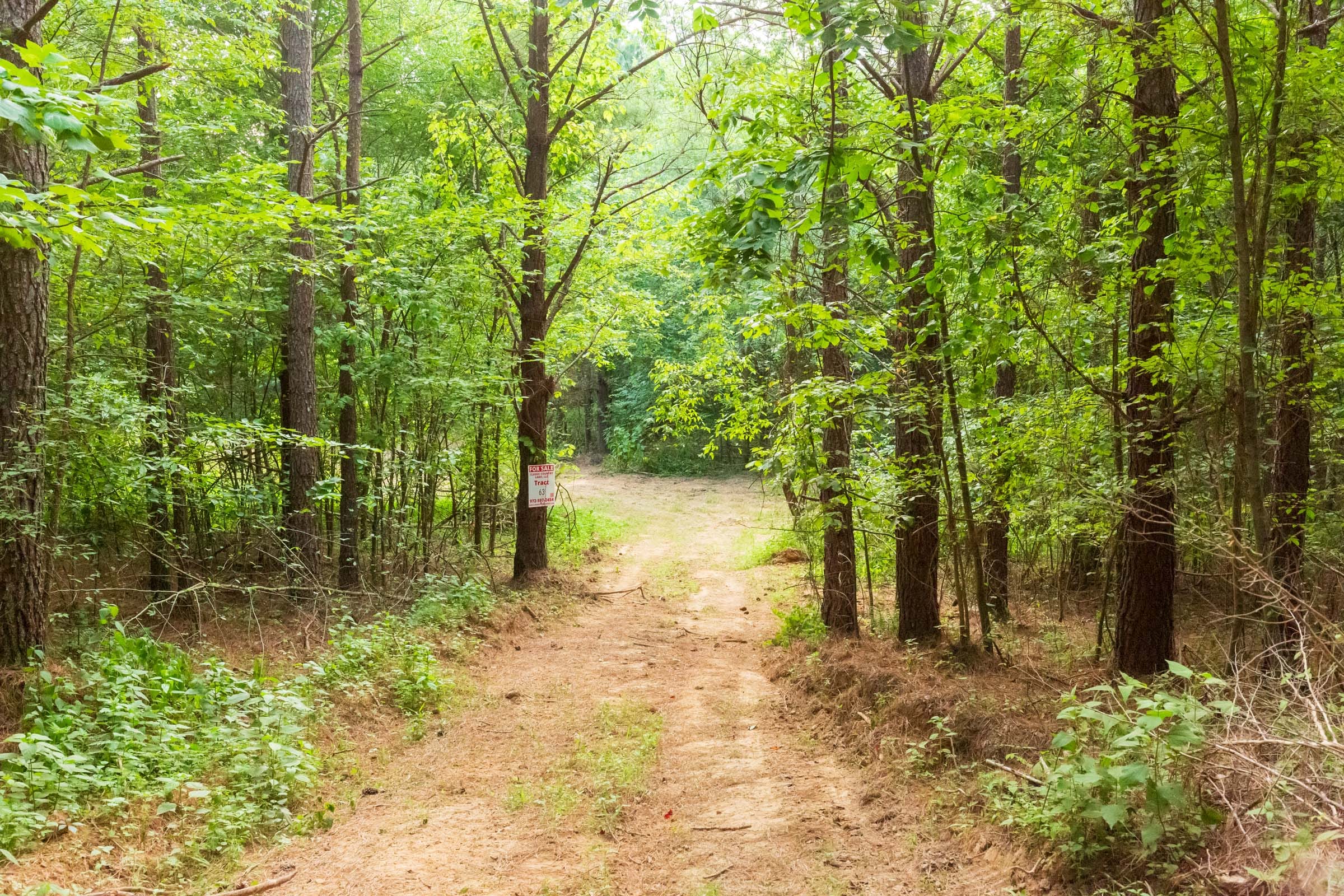 Whiskey Ridge Tract 72 photo 6