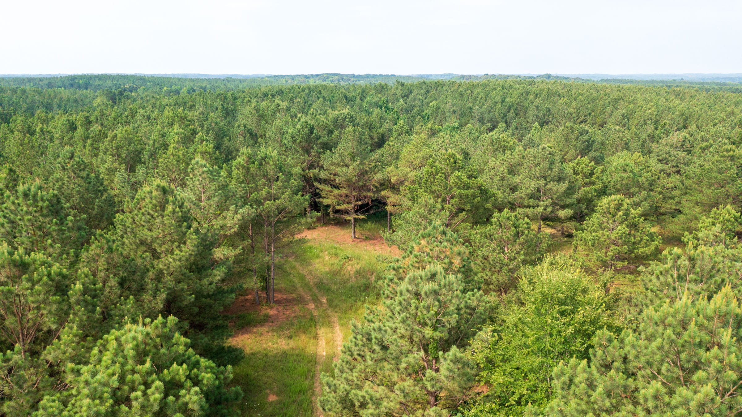 Whiskey Ridge Tract 72 photo 1