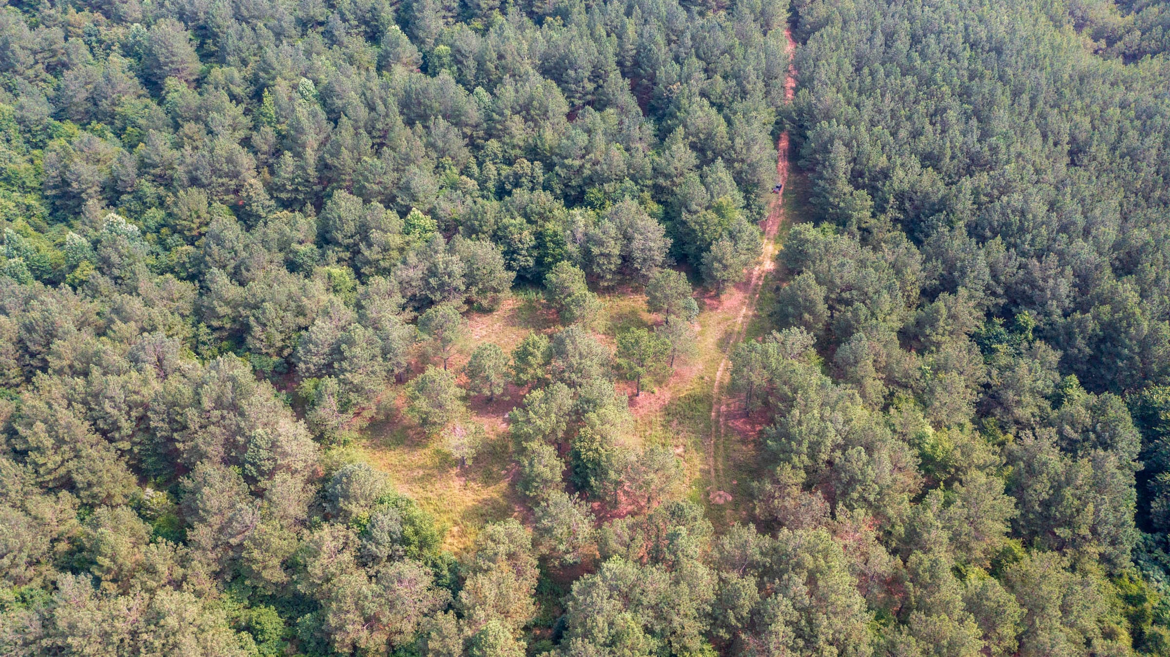 Whiskey Ridge Tract 72 photo 10