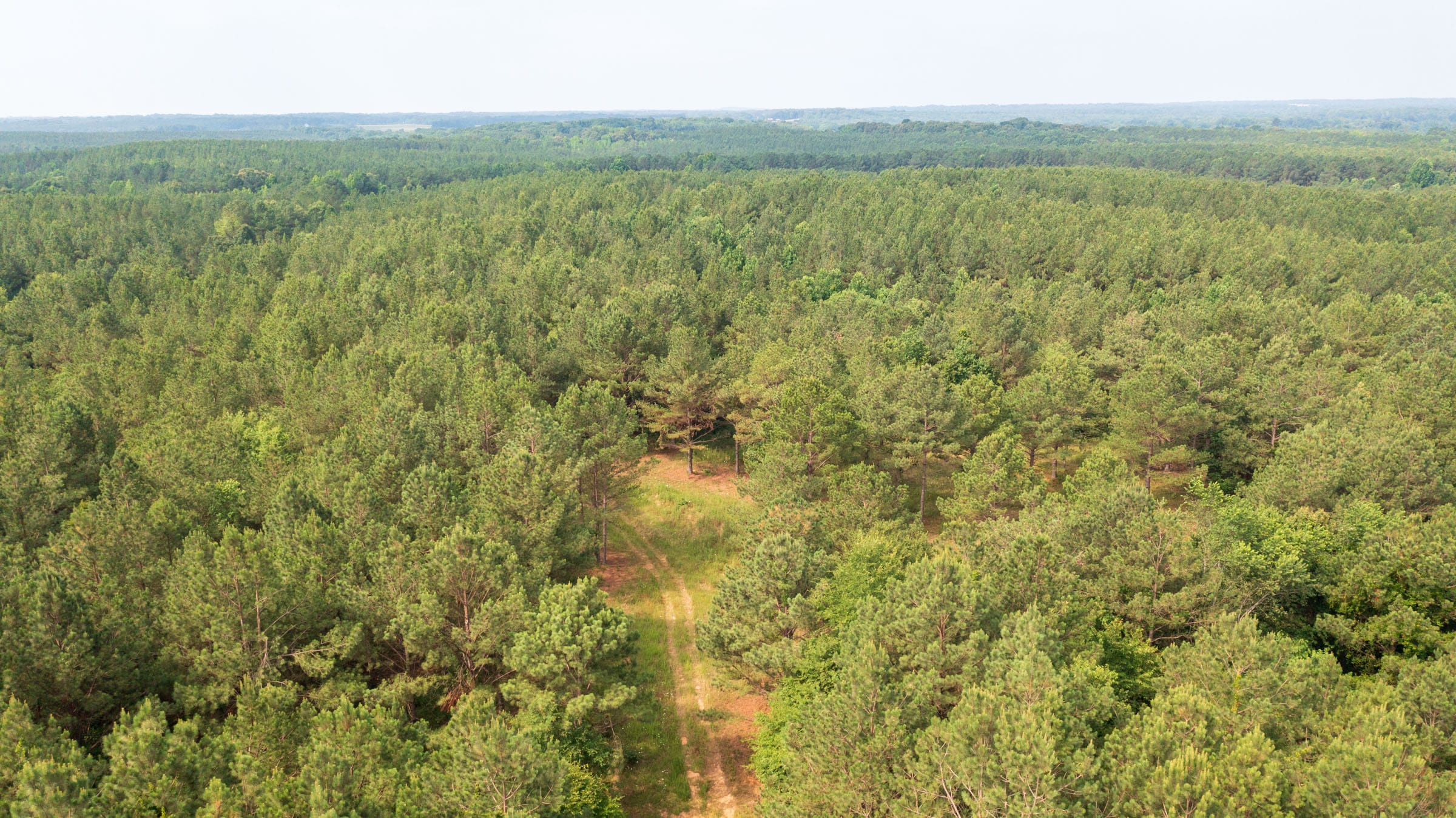 Whiskey Ridge Tract 72 photo 11