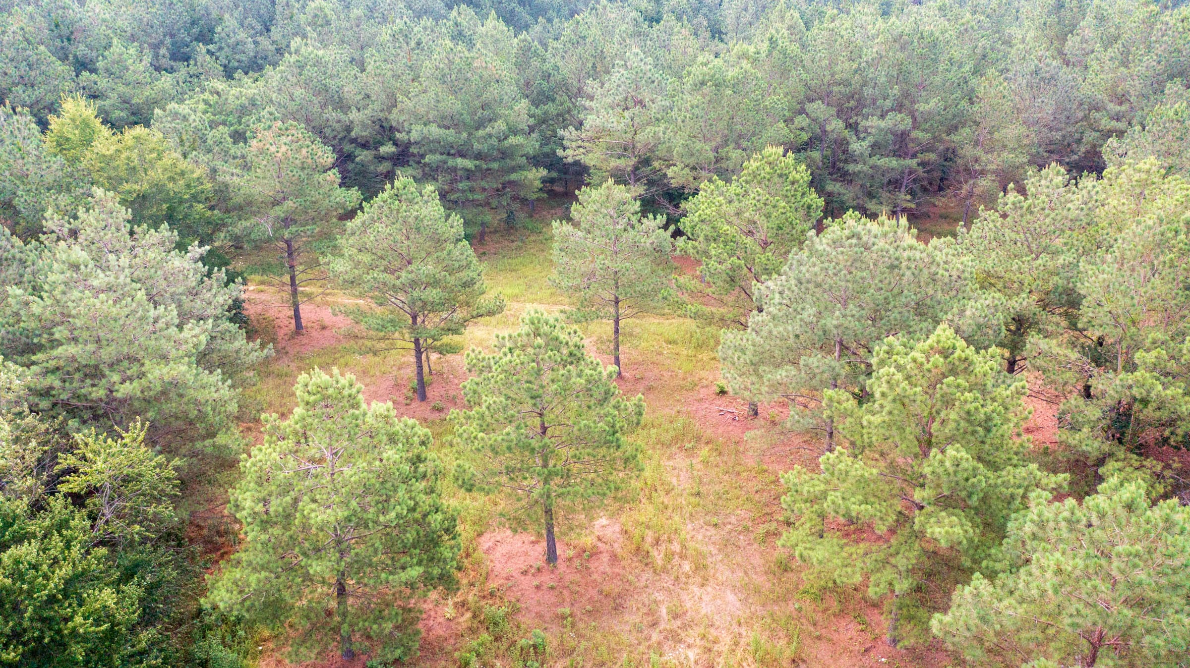 Whiskey Ridge Tract 72 photo 12