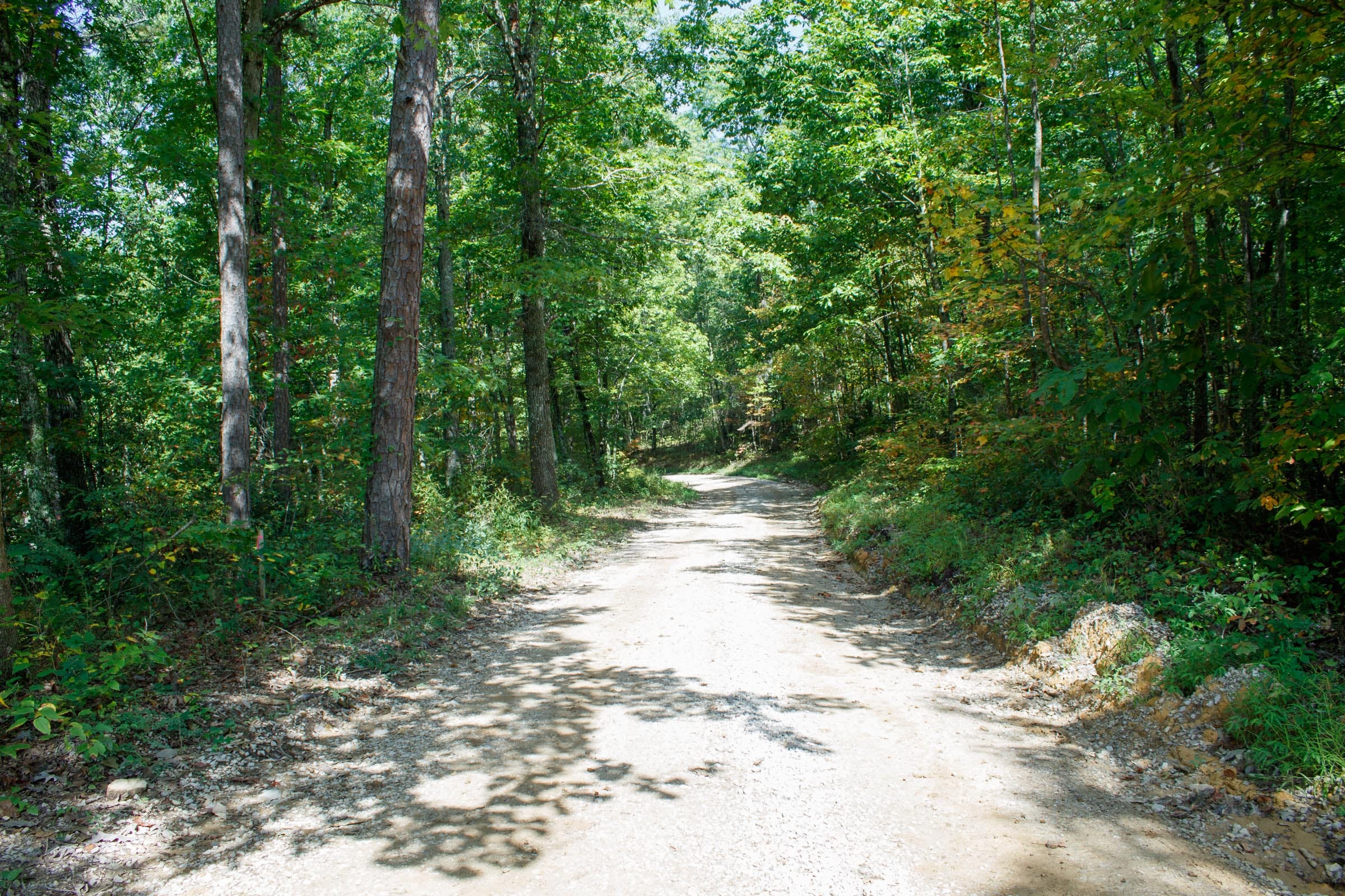Wounded Oak Tract 1 photo 1